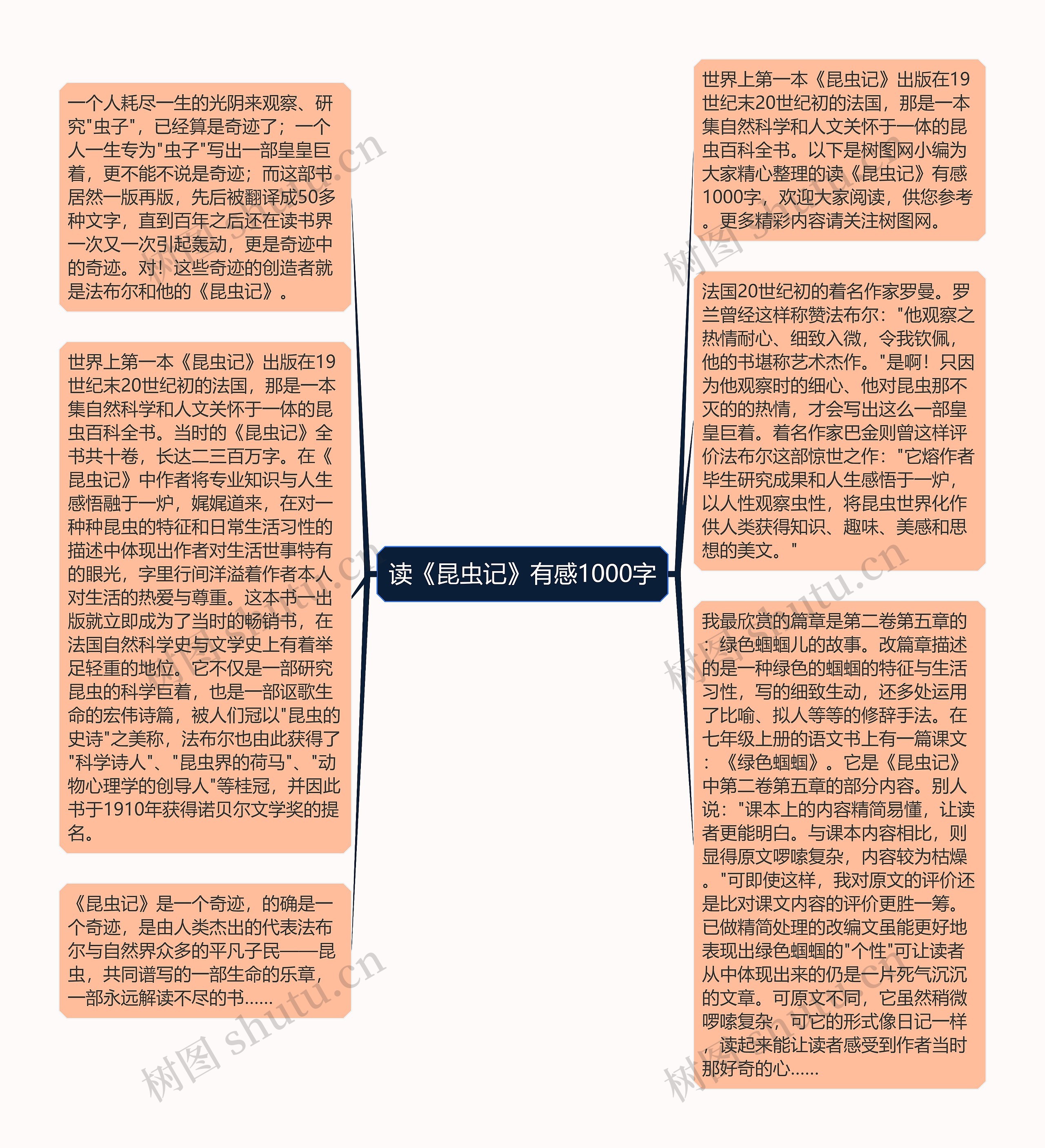 读《昆虫记》有感1000字思维导图