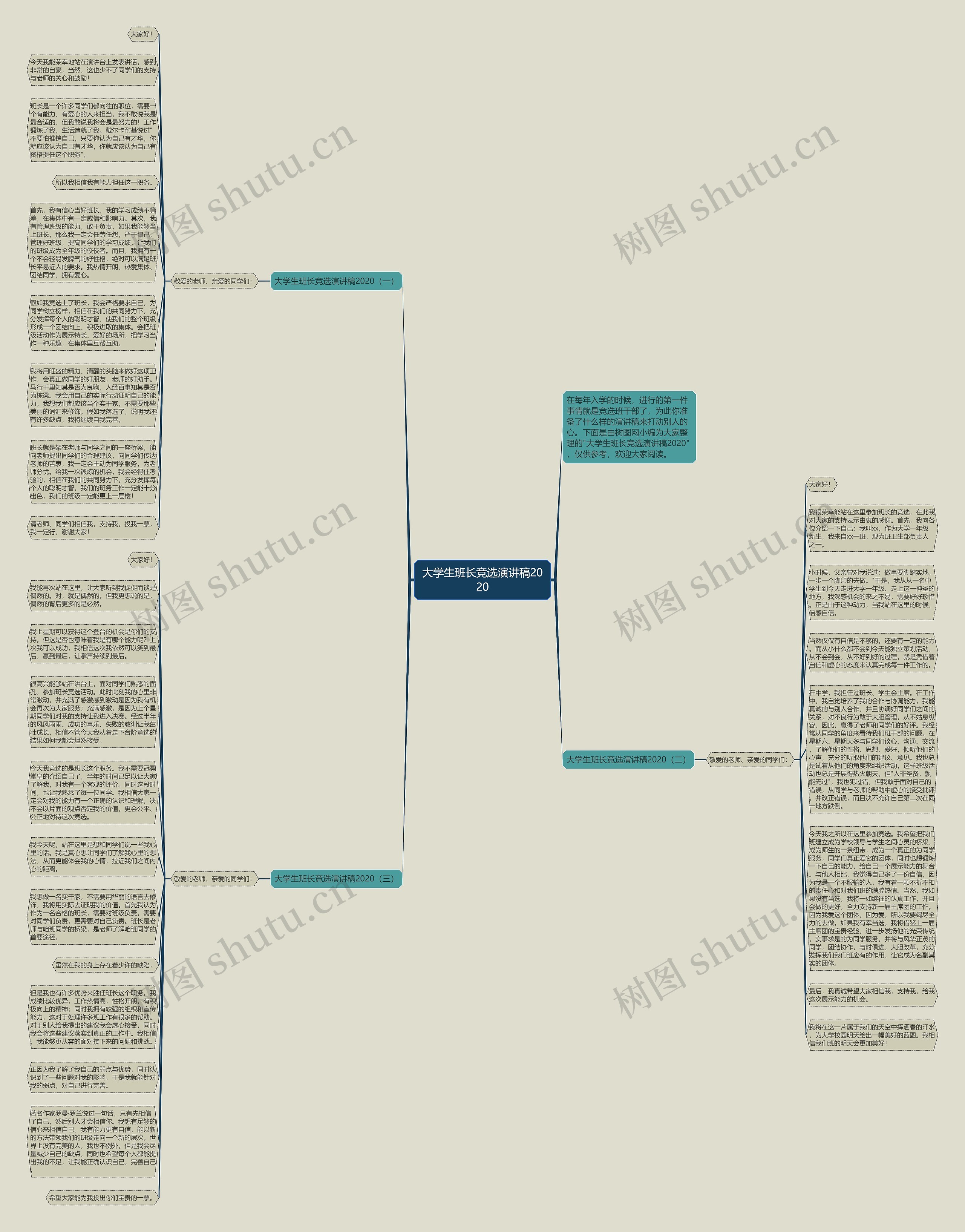 大学生班长竞选演讲稿2020思维导图