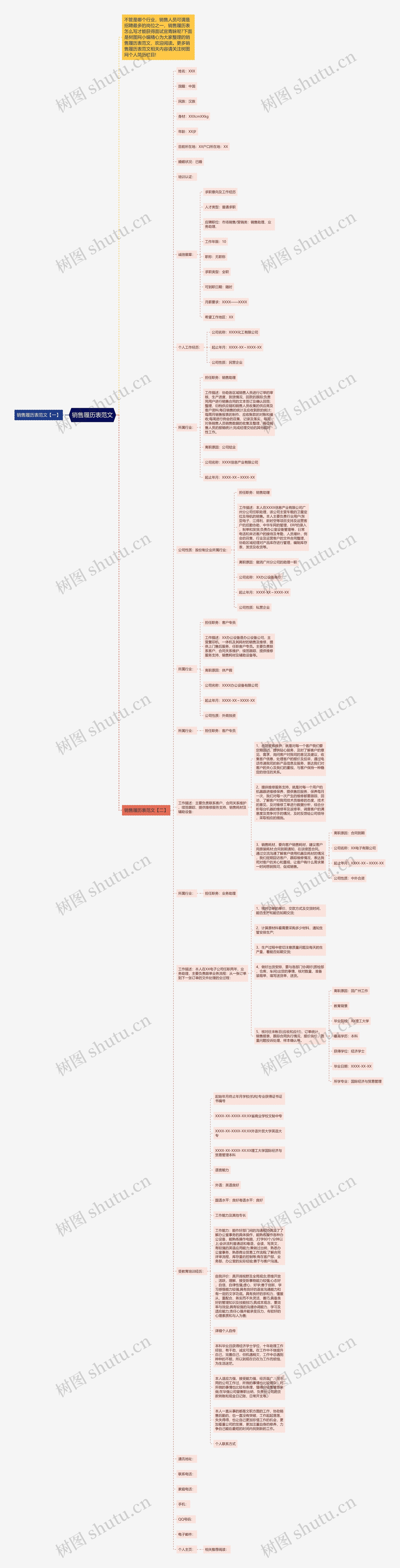 销售履历表范文思维导图
