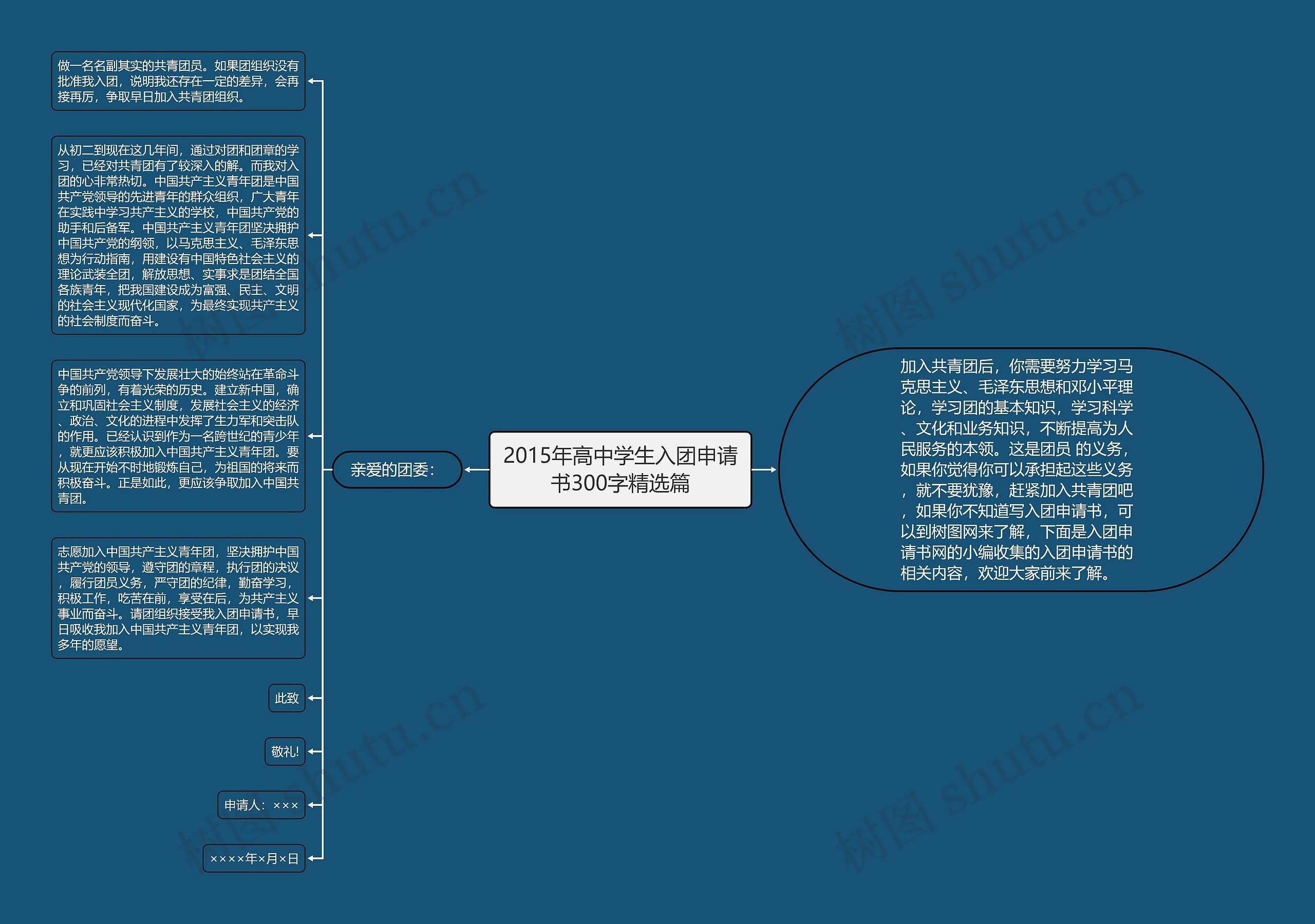 2015年高中学生入团申请书300字精选篇