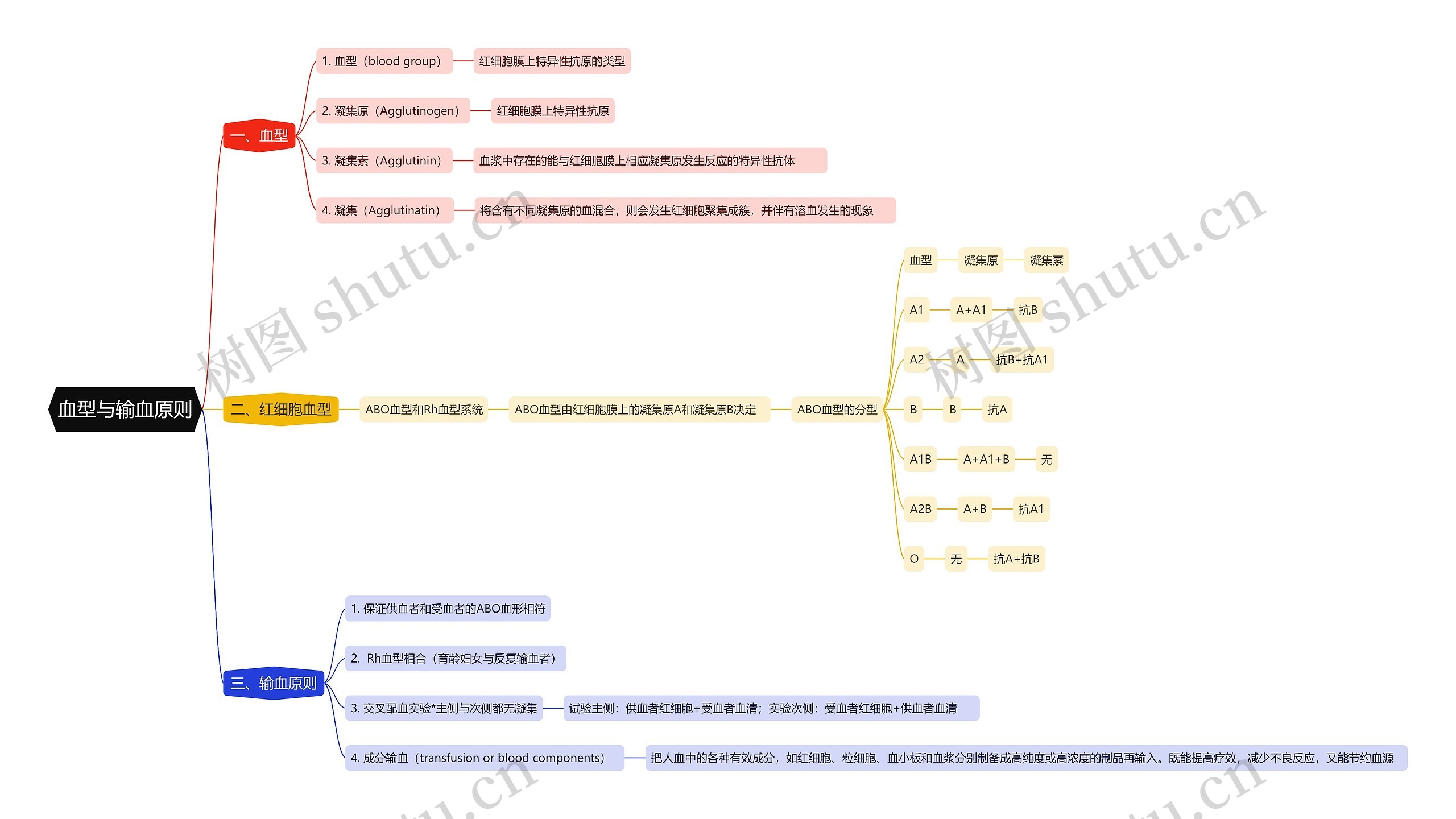 血型与输血原则思维导图