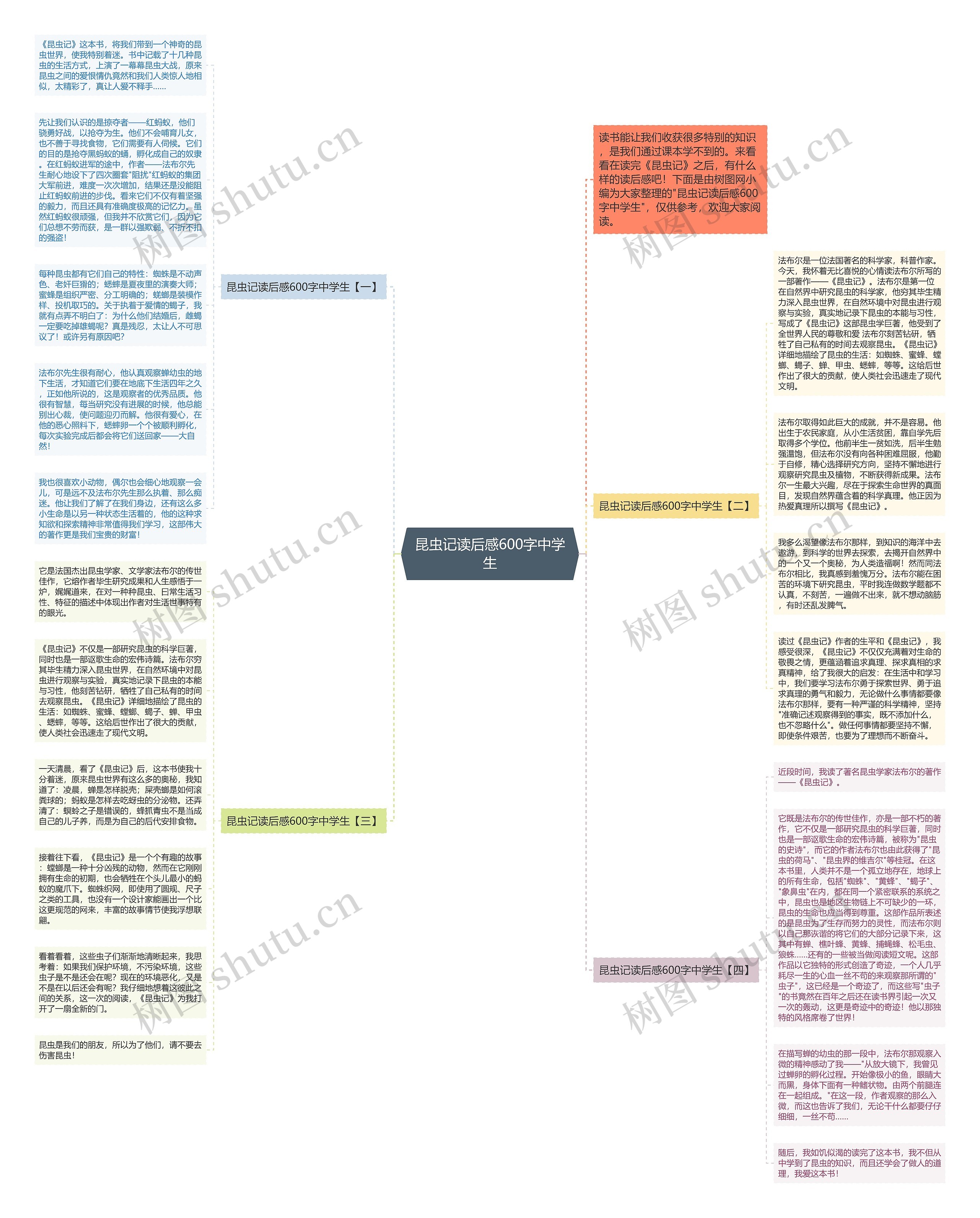 昆虫记读后感600字中学生思维导图