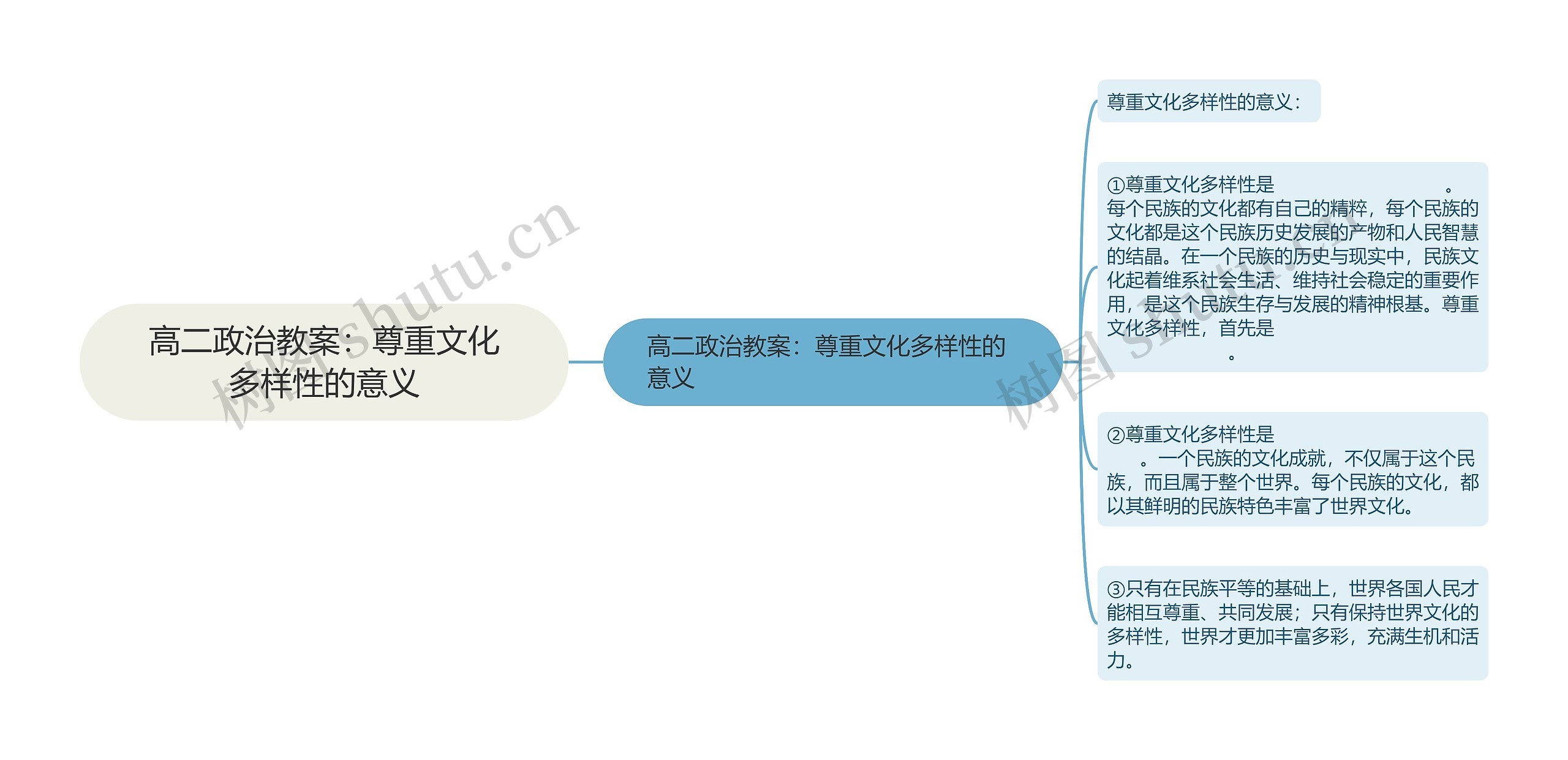 高二政治教案：尊重文化多样性的意义思维导图