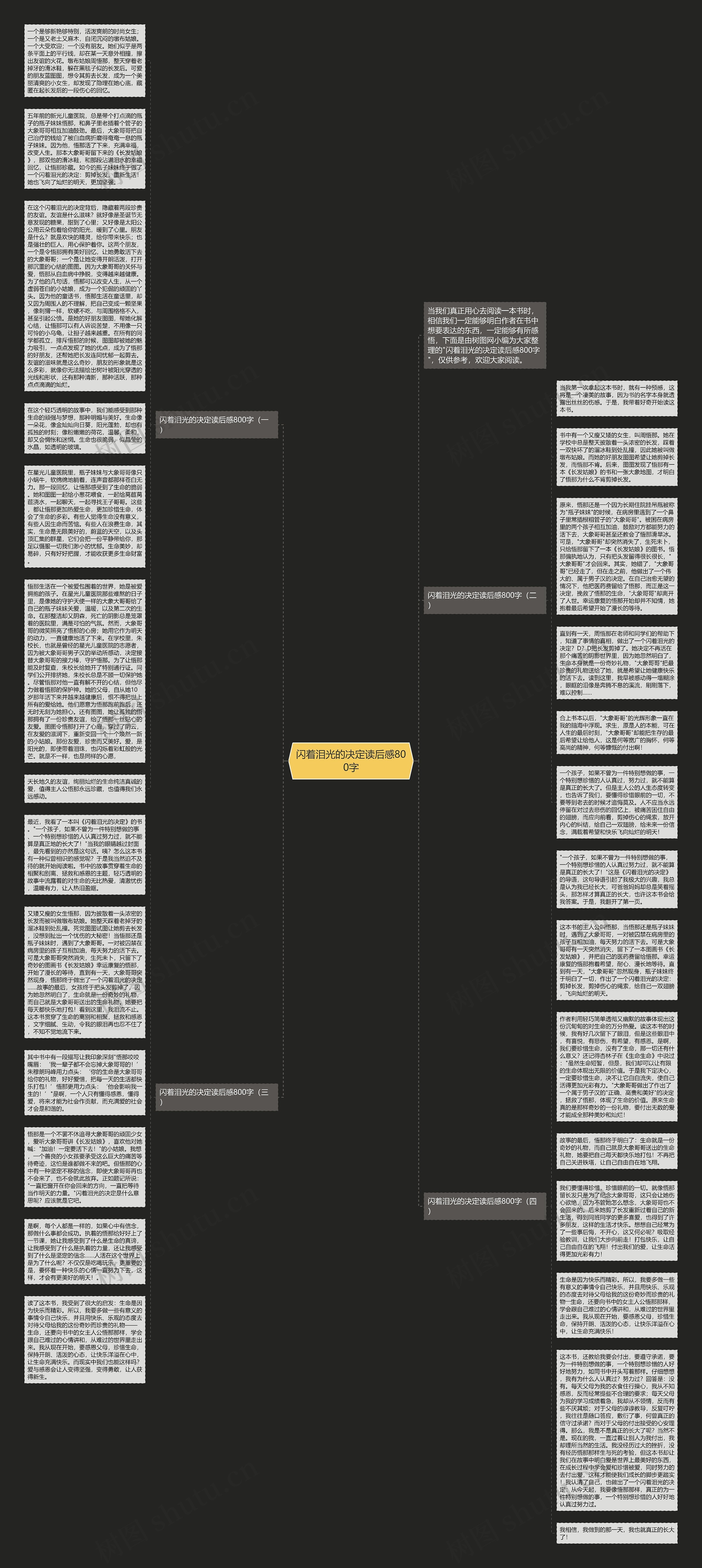 闪着泪光的决定读后感800字思维导图