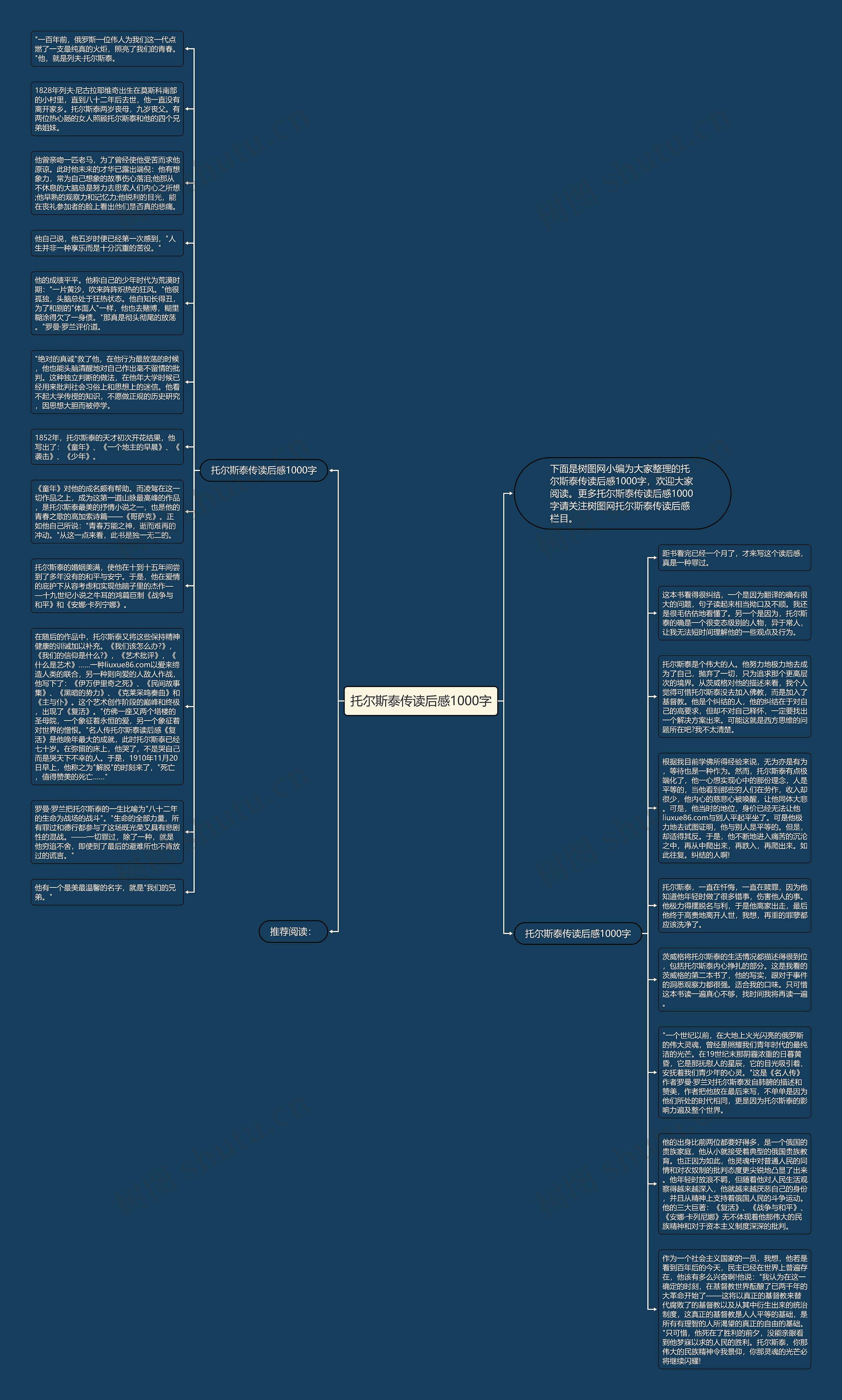 托尔斯泰传读后感1000字思维导图