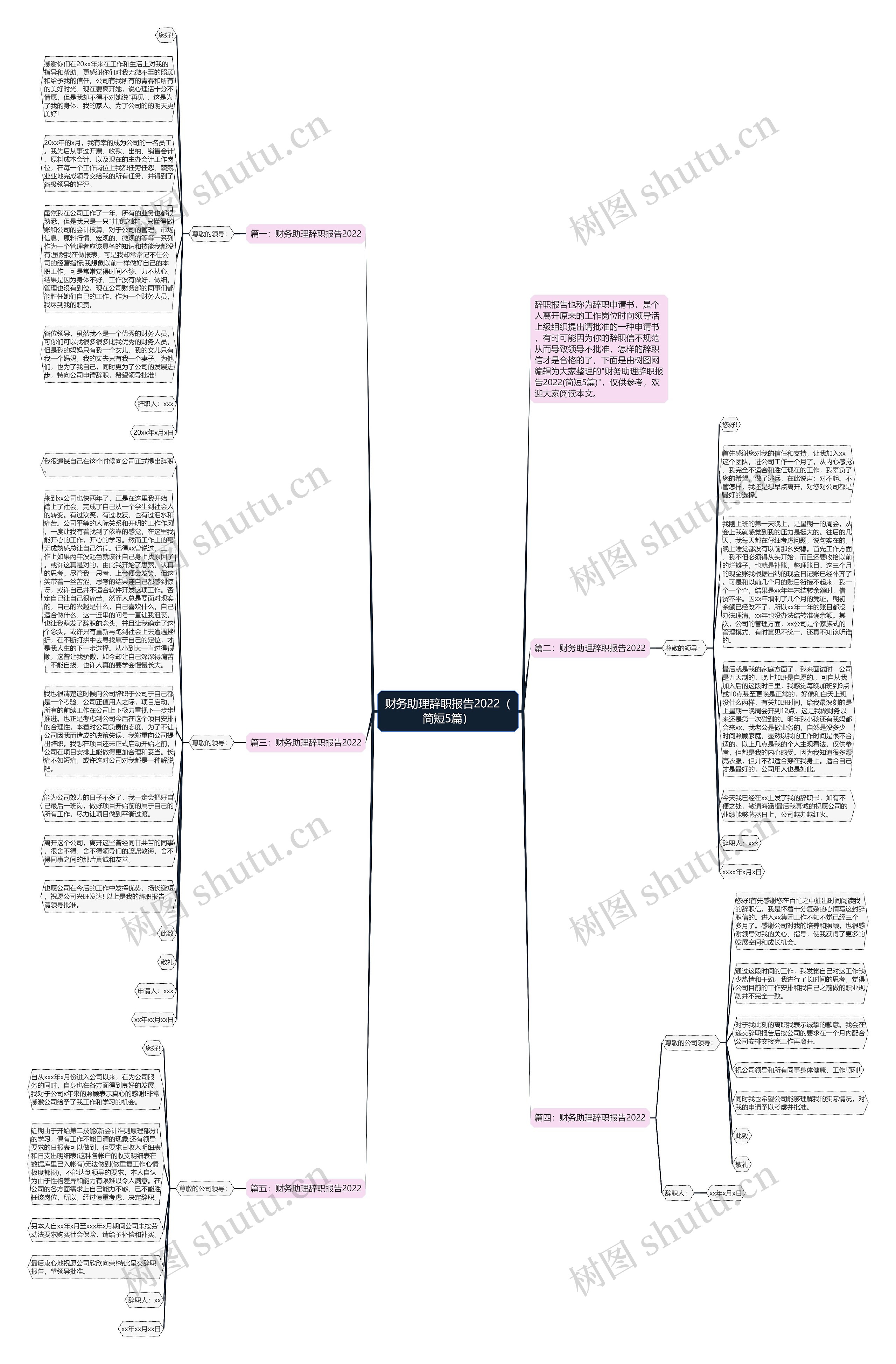 财务助理辞职报告2022（简短5篇）思维导图