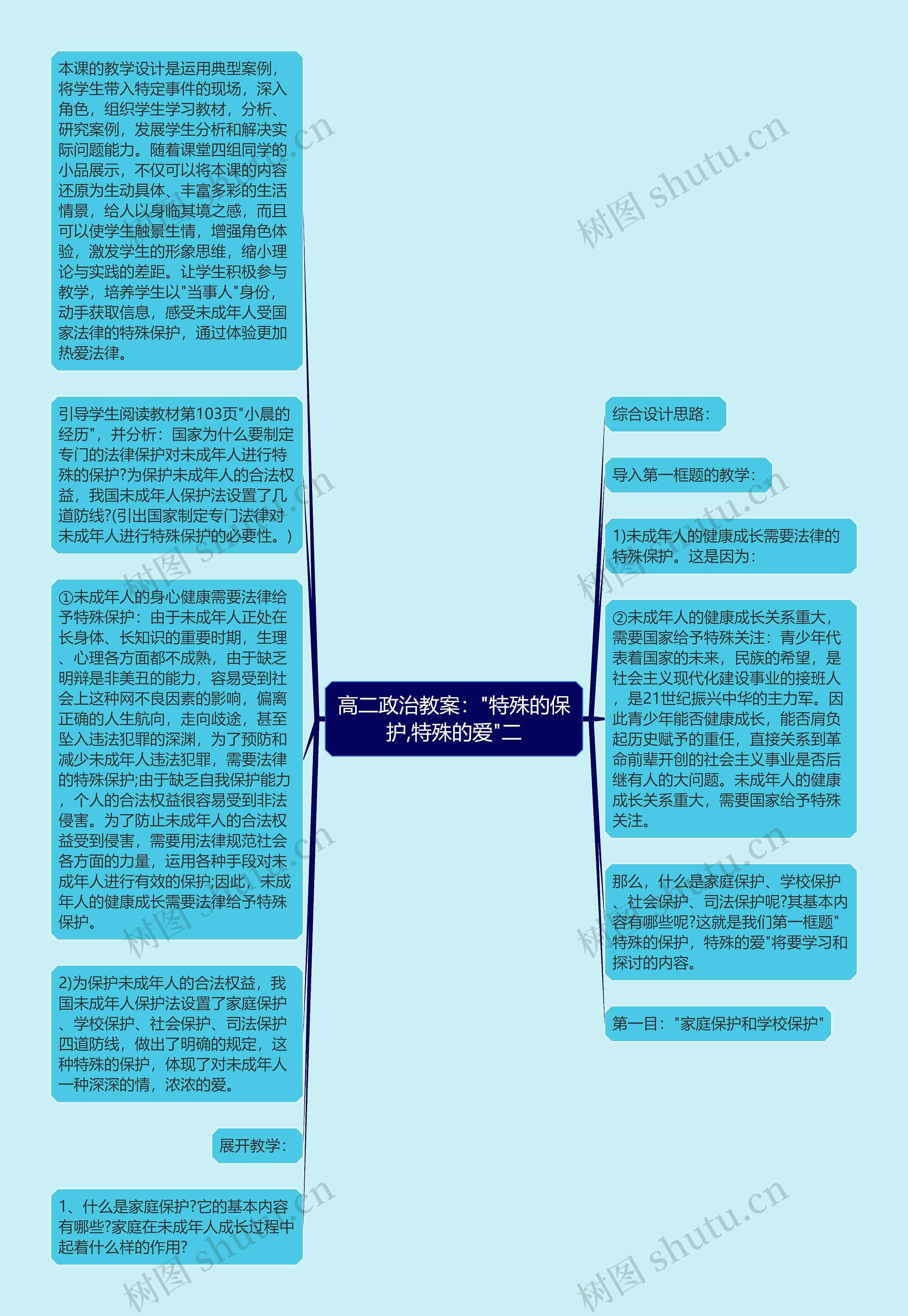 高二政治教案："特殊的保护,特殊的爱"二思维导图