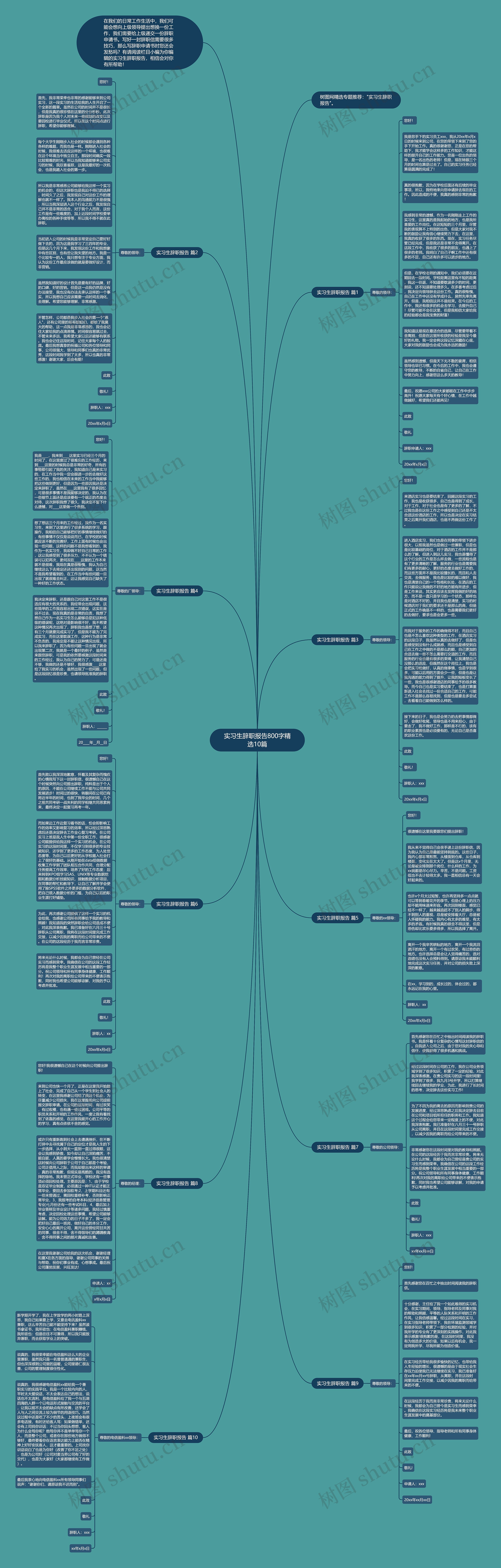 实习生辞职报告800字精选10篇思维导图