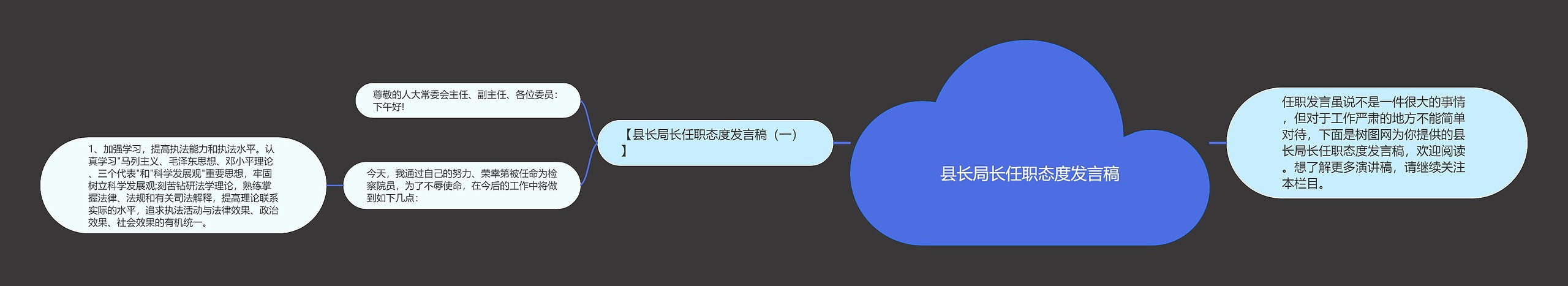 县长局长任职态度发言稿思维导图