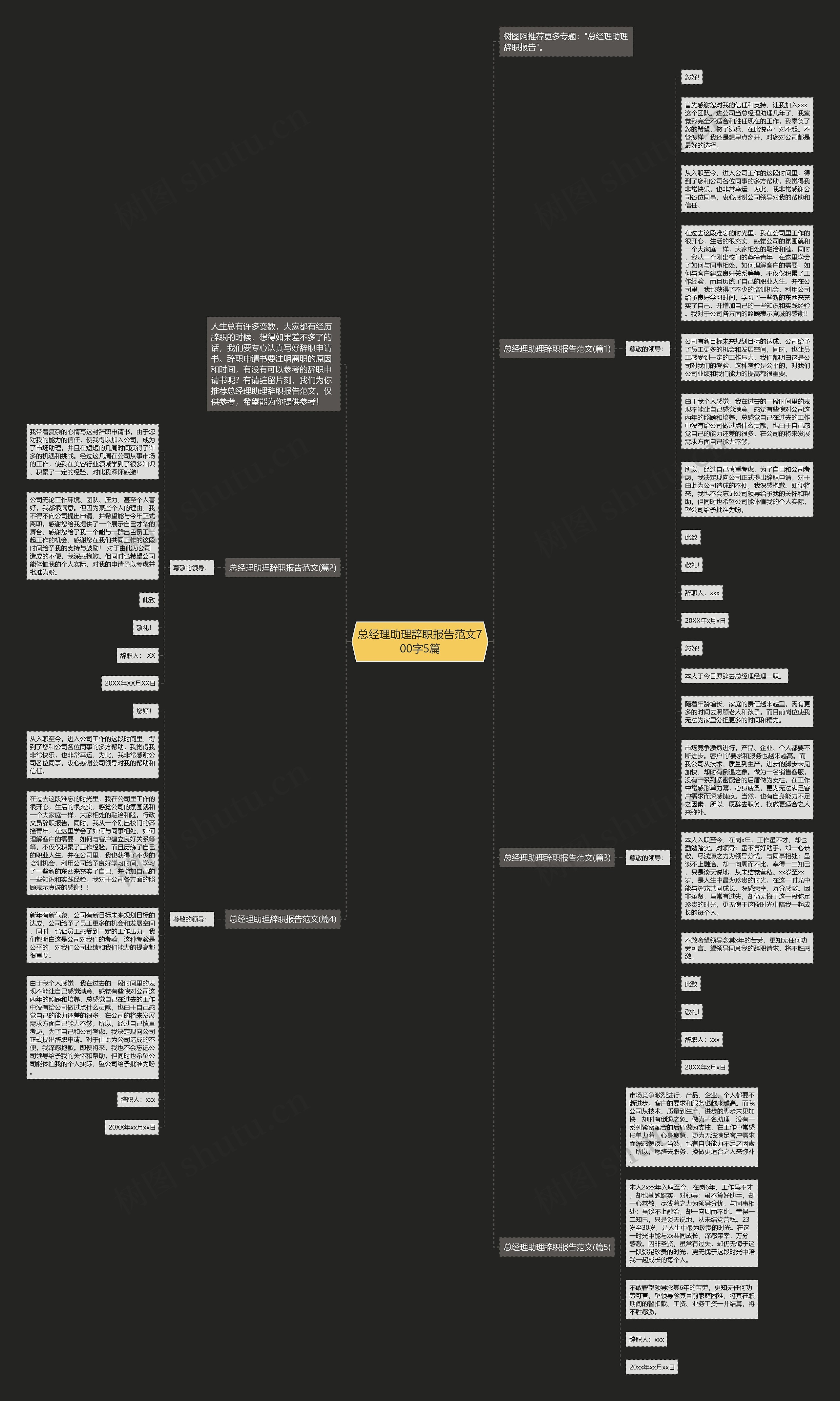 总经理助理辞职报告范文700字5篇思维导图