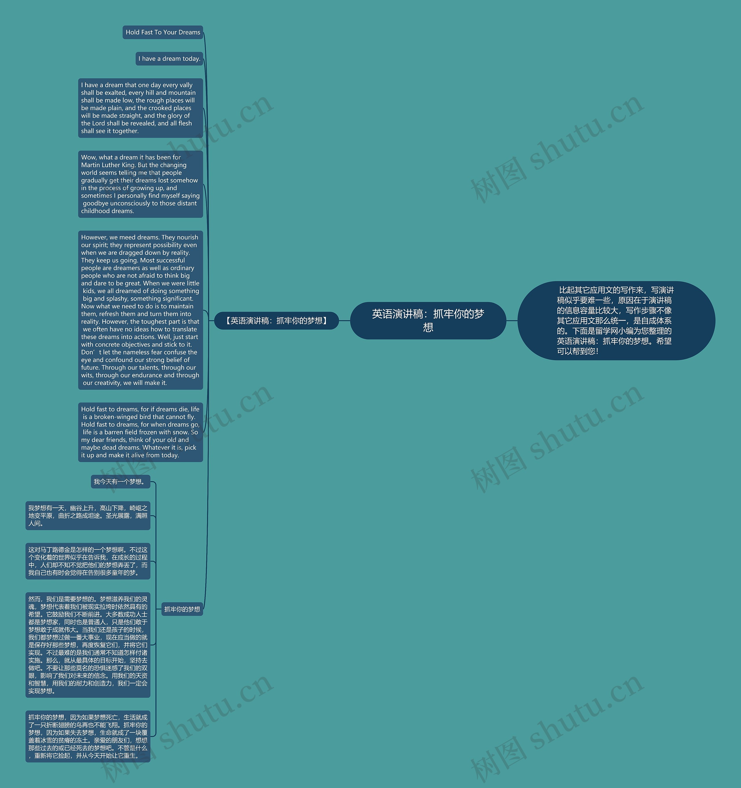 英语演讲稿：抓牢你的梦想思维导图