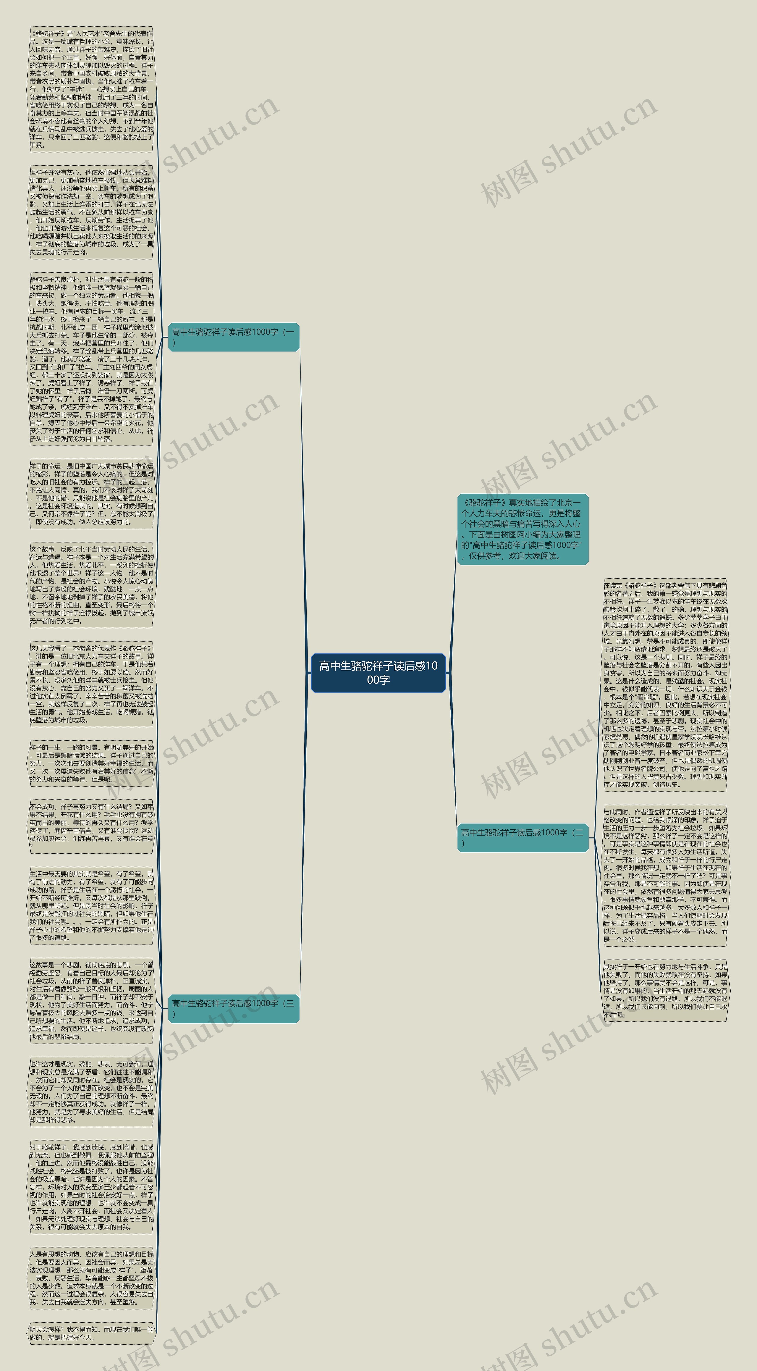 高中生骆驼祥子读后感1000字思维导图