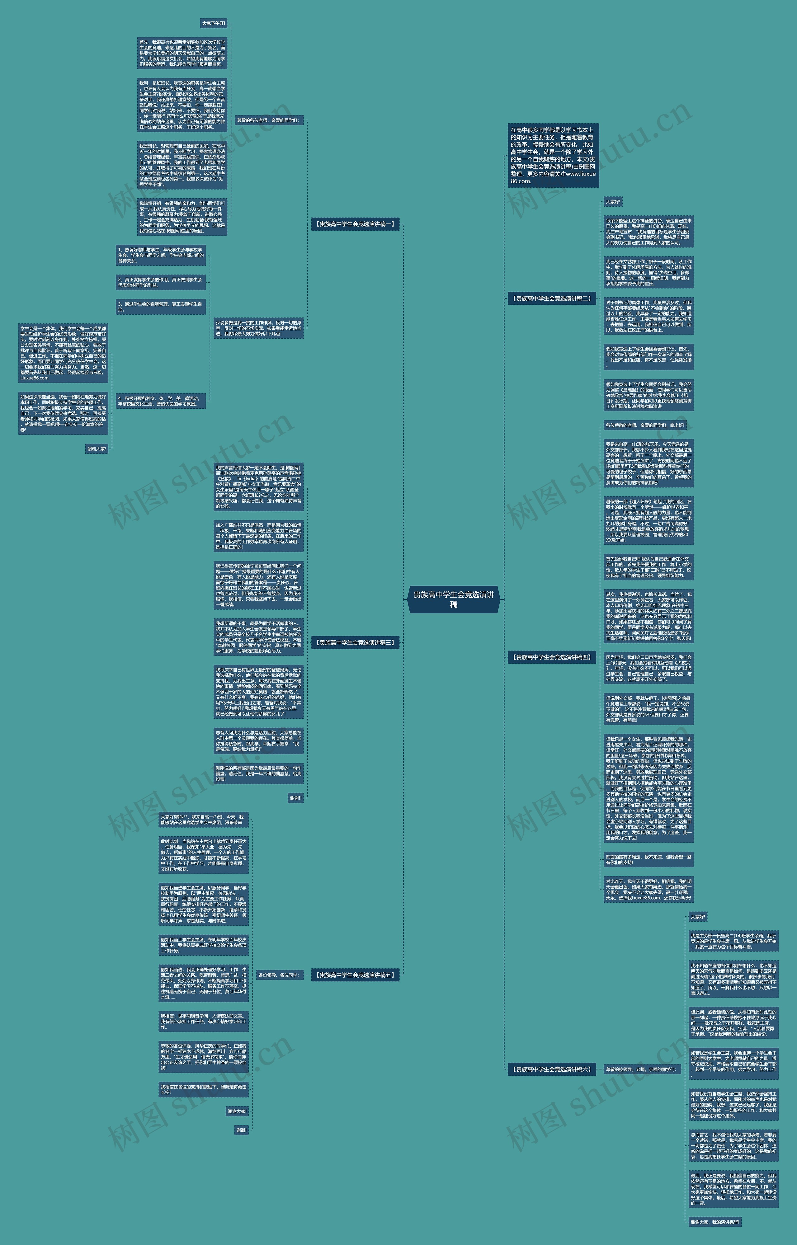 贵族高中学生会竞选演讲稿思维导图