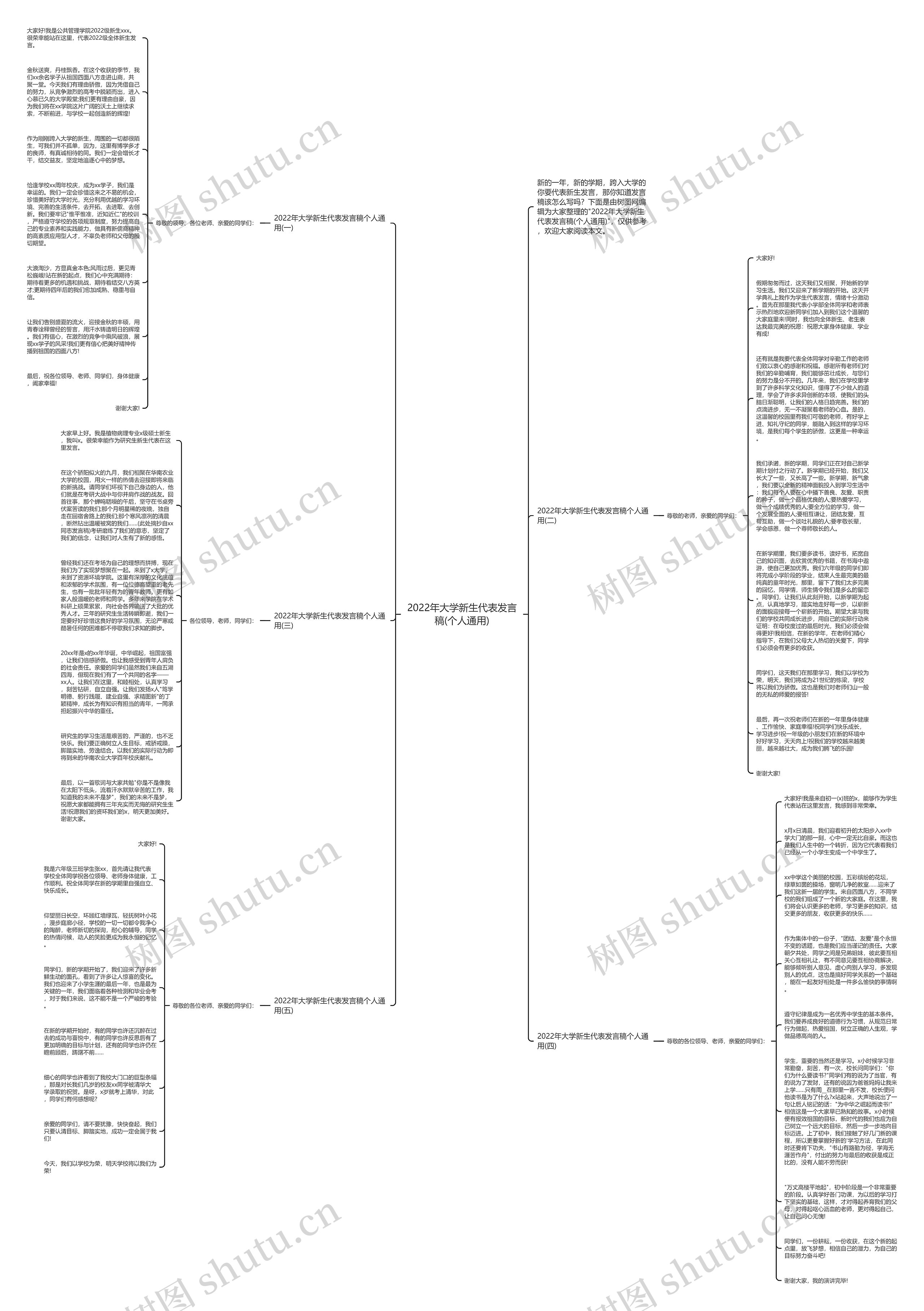 2022年大学新生代表发言稿(个人通用)思维导图