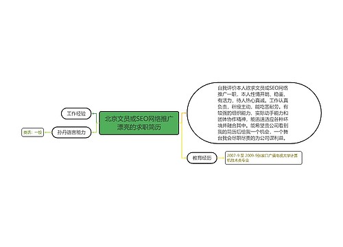 北京文员或SEO网络推广漂亮的求职简历