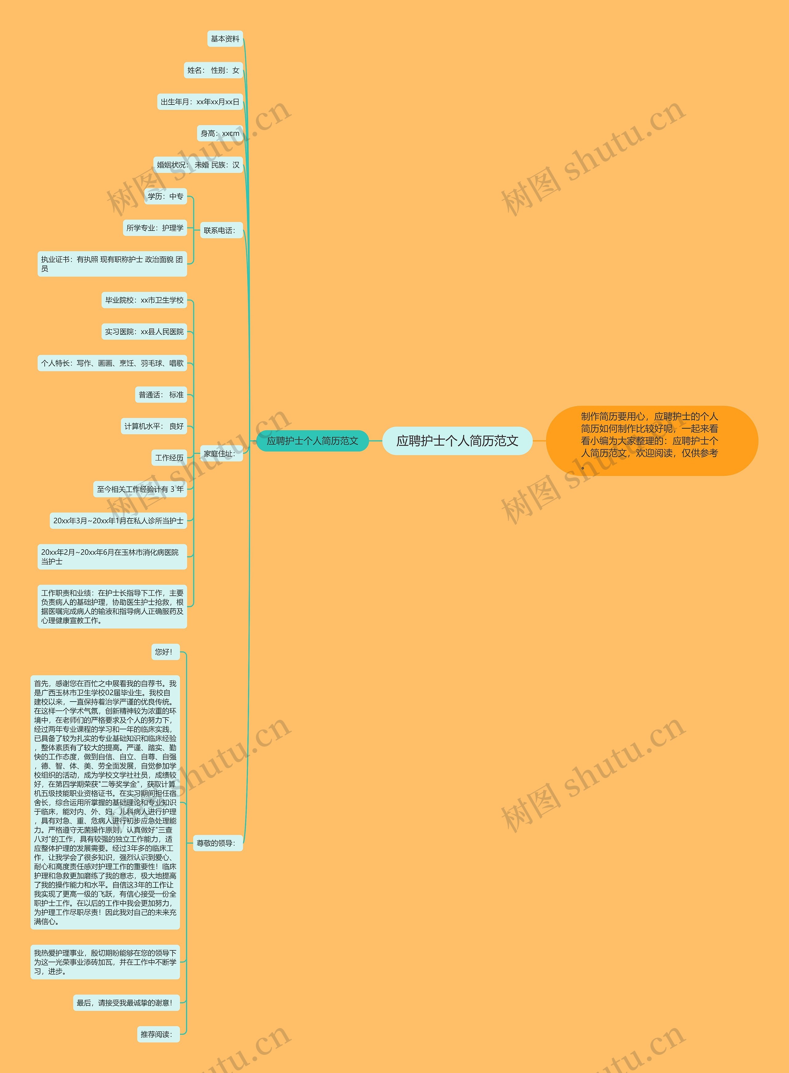 应聘护士个人简历范文思维导图