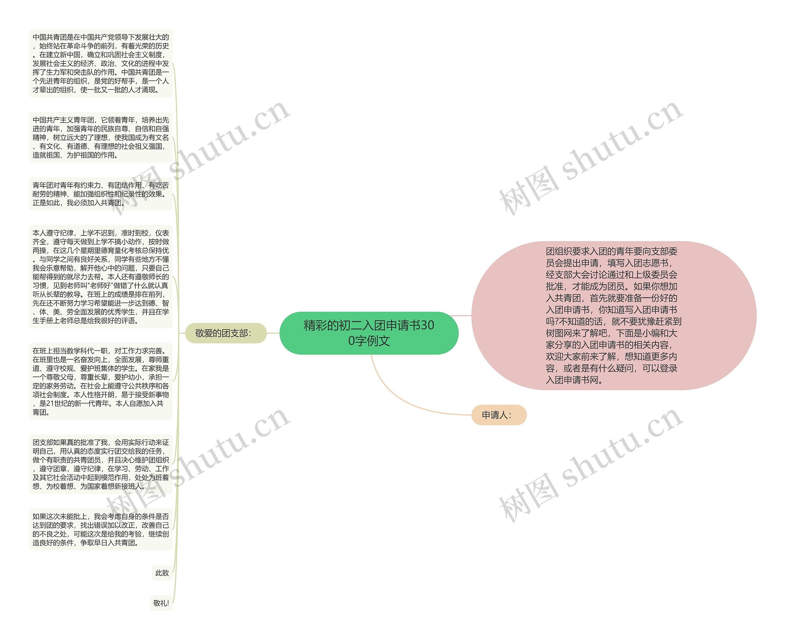 精彩的初二入团申请书300字例文