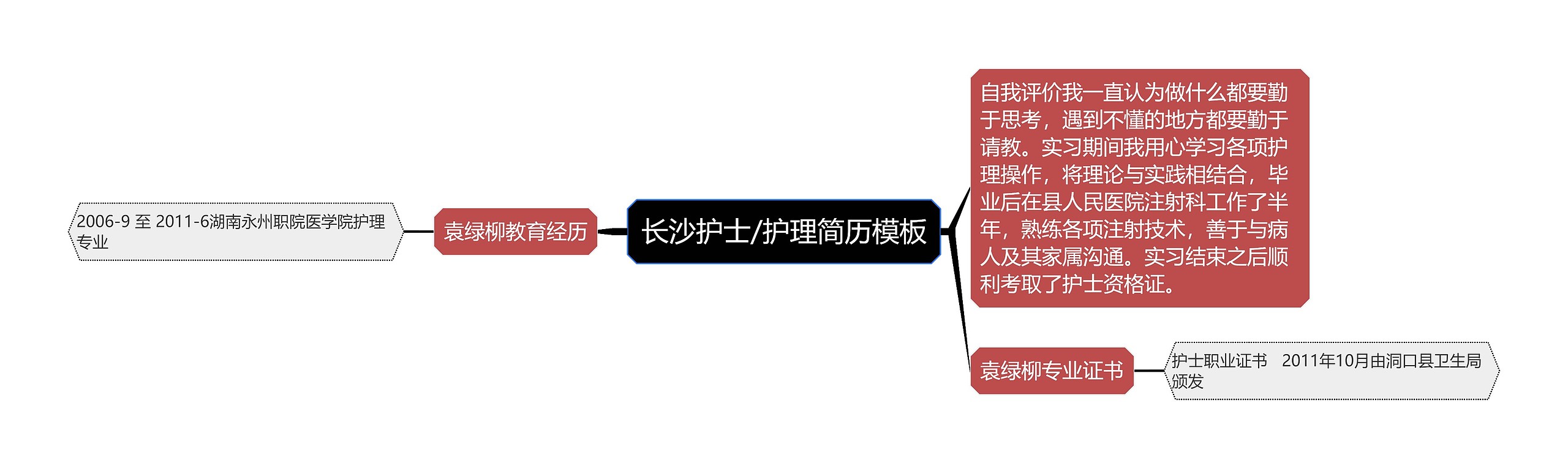 长沙护士/护理简历模板