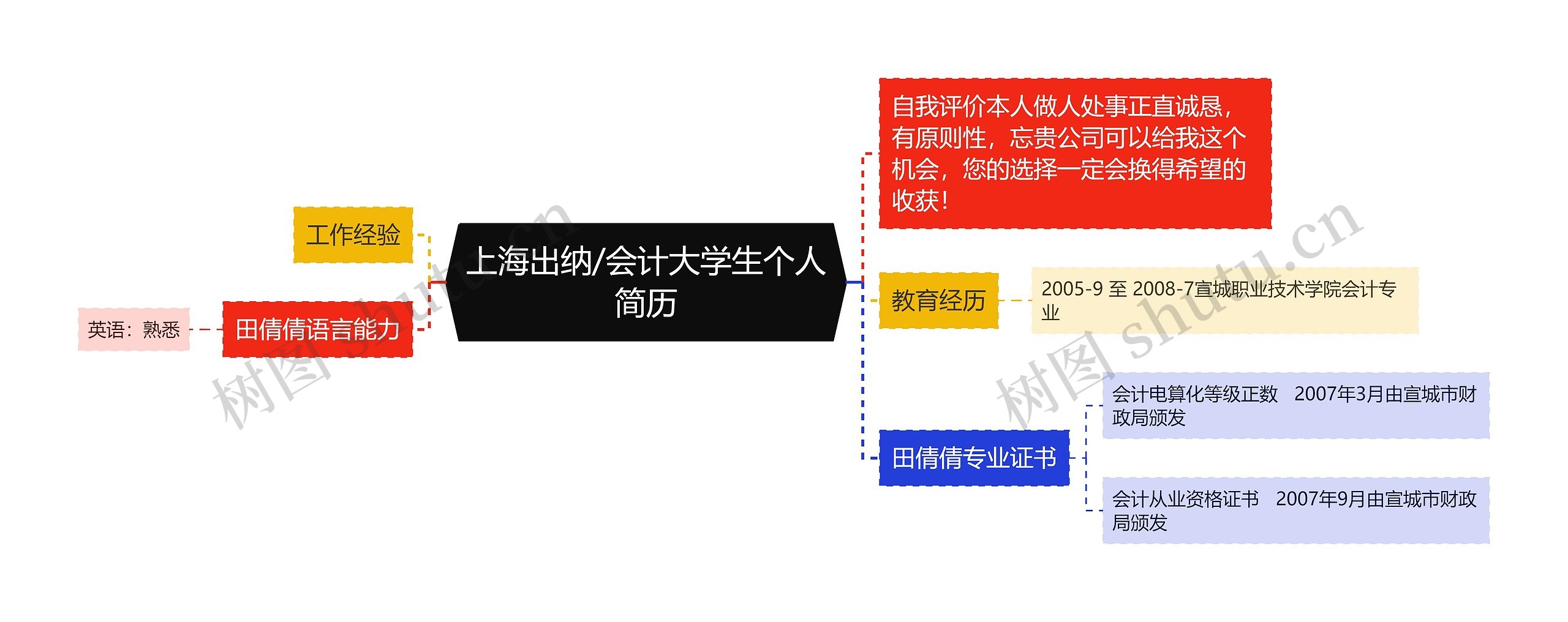 上海出纳/会计大学生个人简历