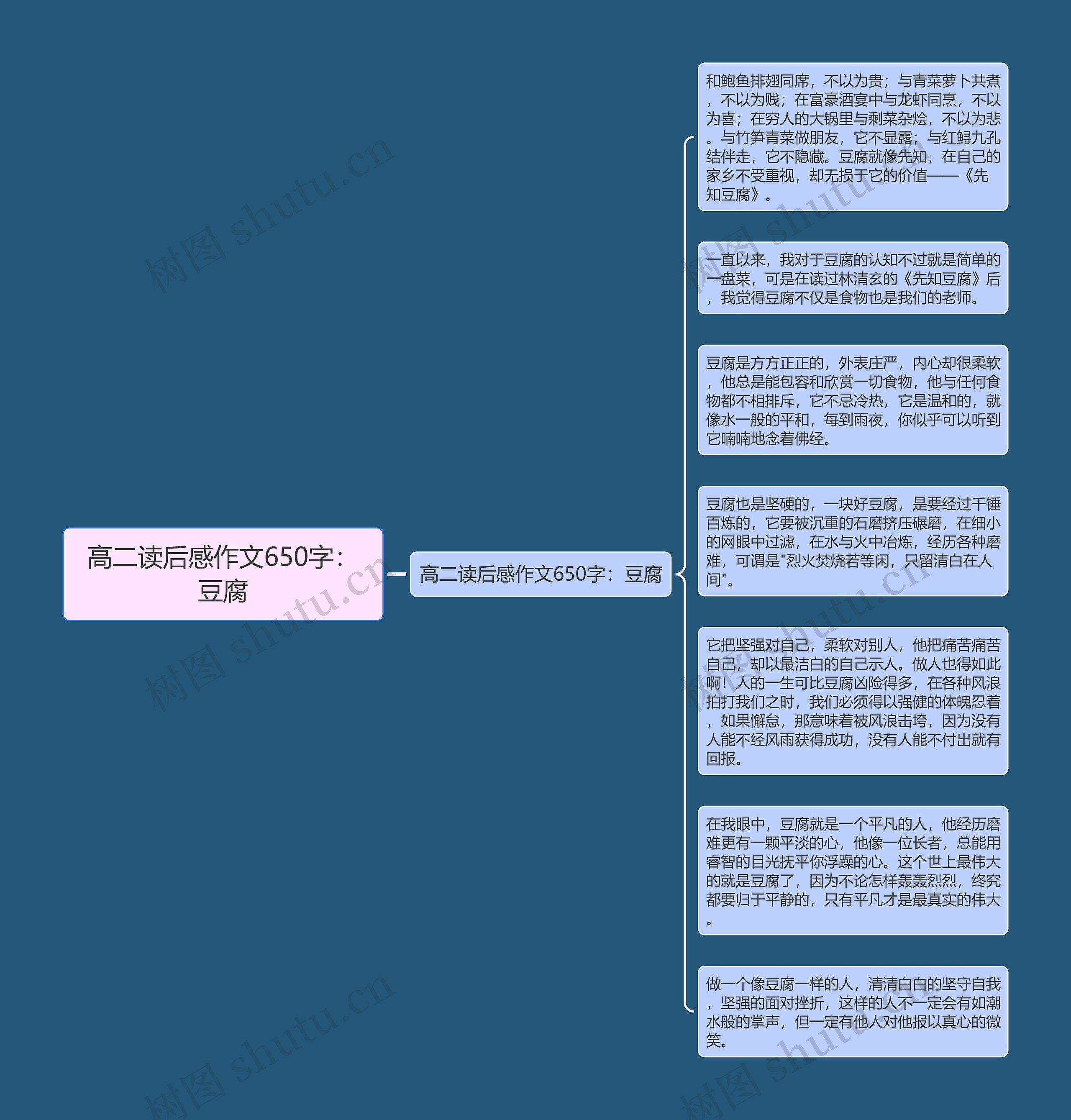 高二读后感作文650字：豆腐思维导图