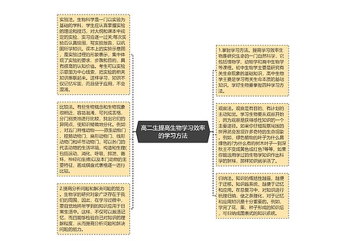 高二生提高生物学习效率的学习方法