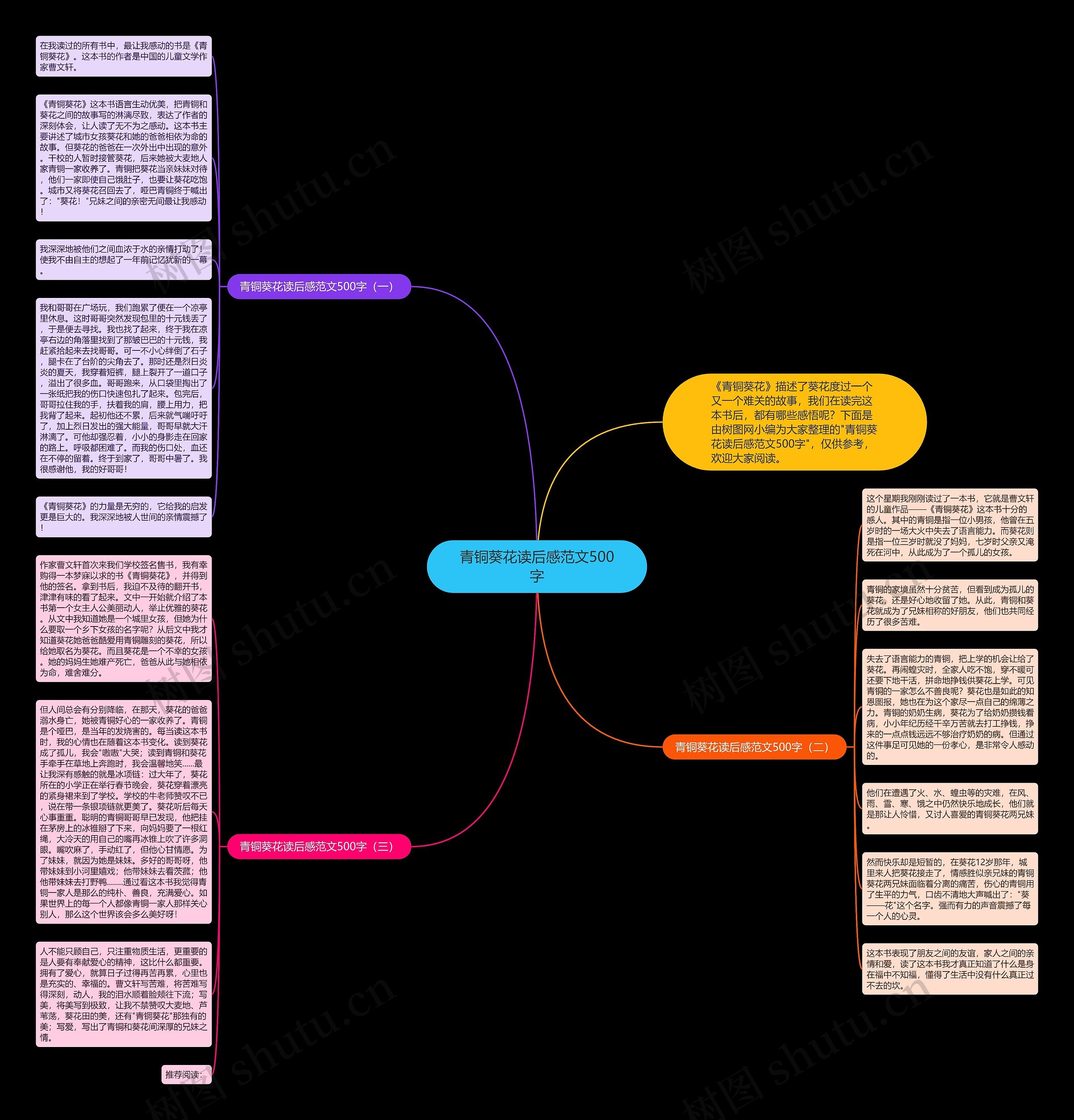 青铜葵花读后感范文500字思维导图