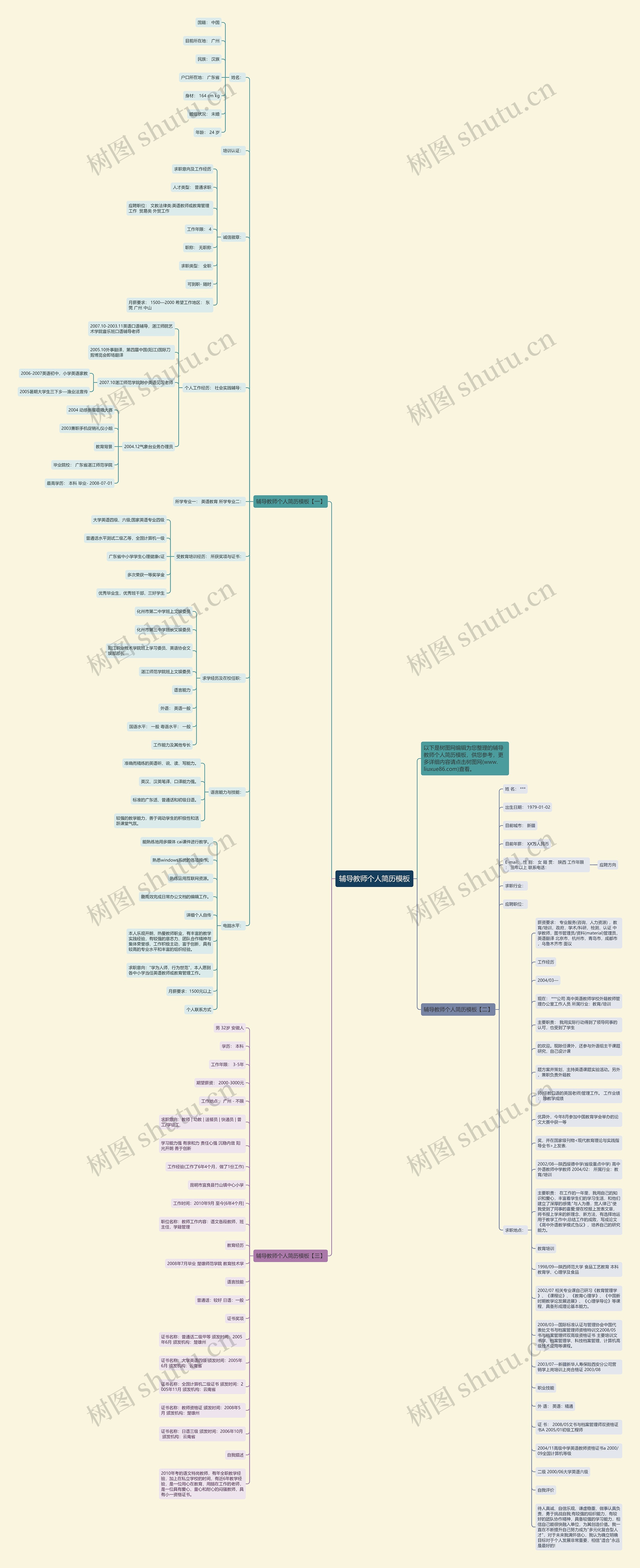 辅导教师个人简历思维导图