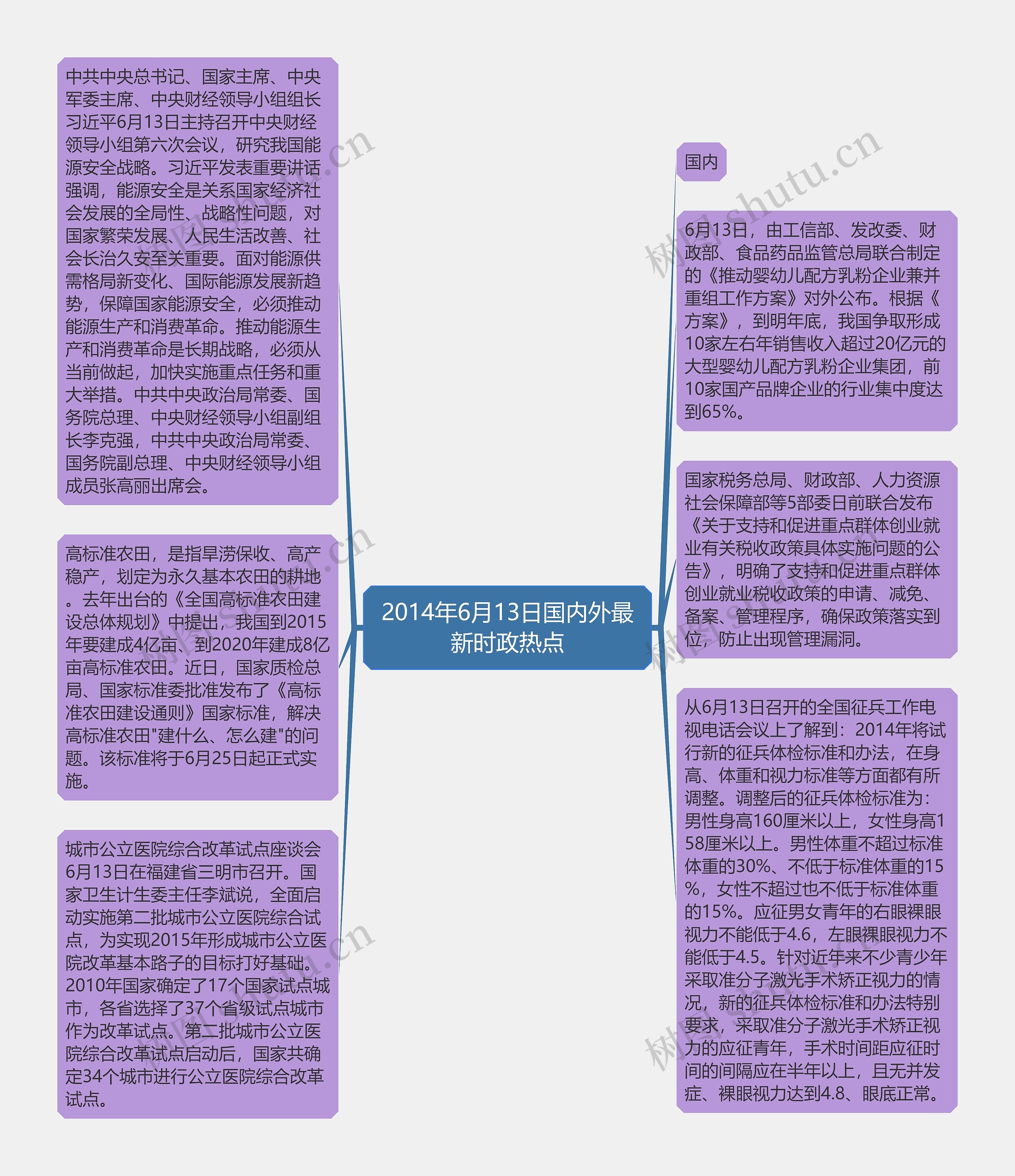 2014年6月13日国内外最新时政热点思维导图