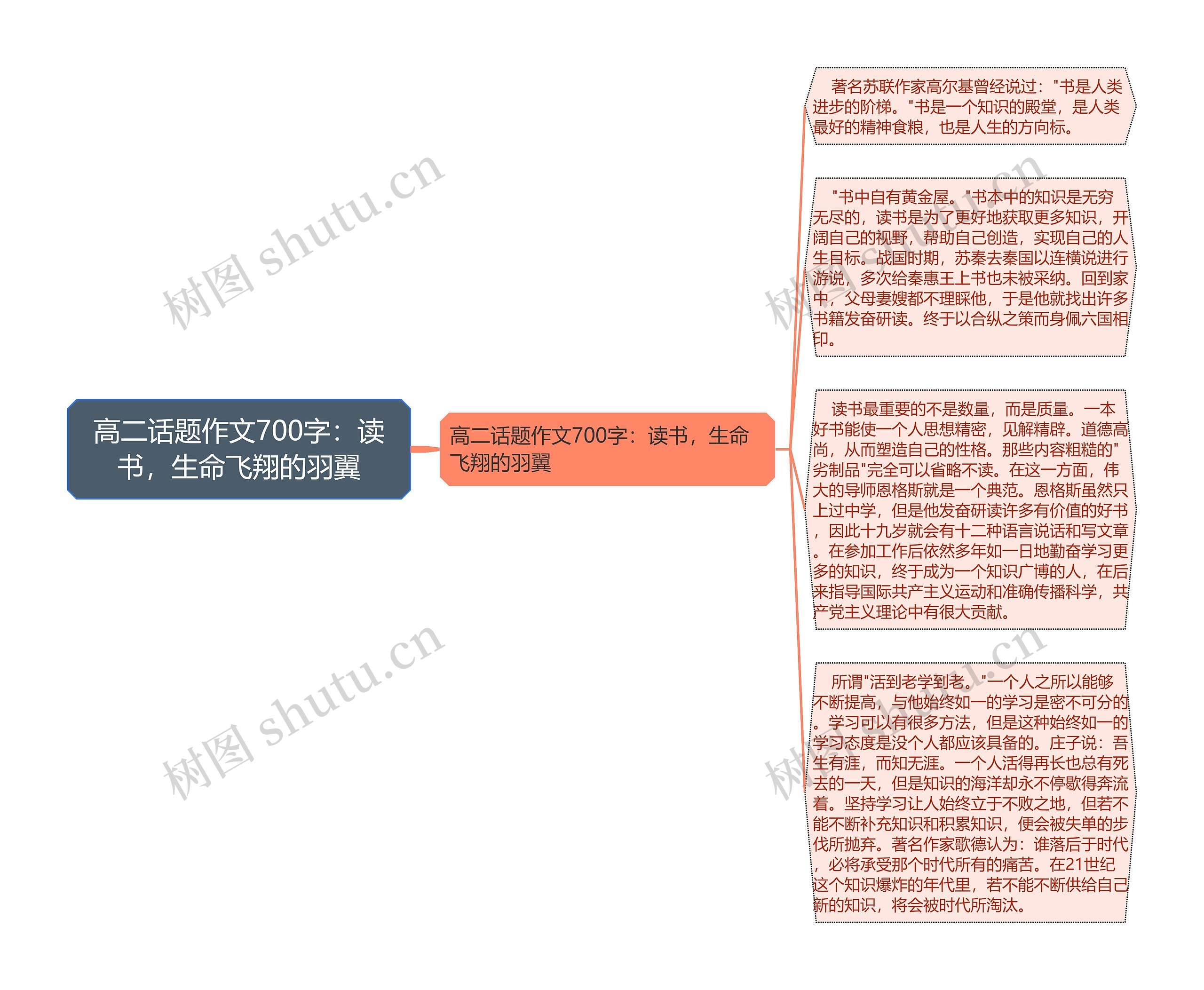 高二话题作文700字：读书，生命飞翔的羽翼思维导图