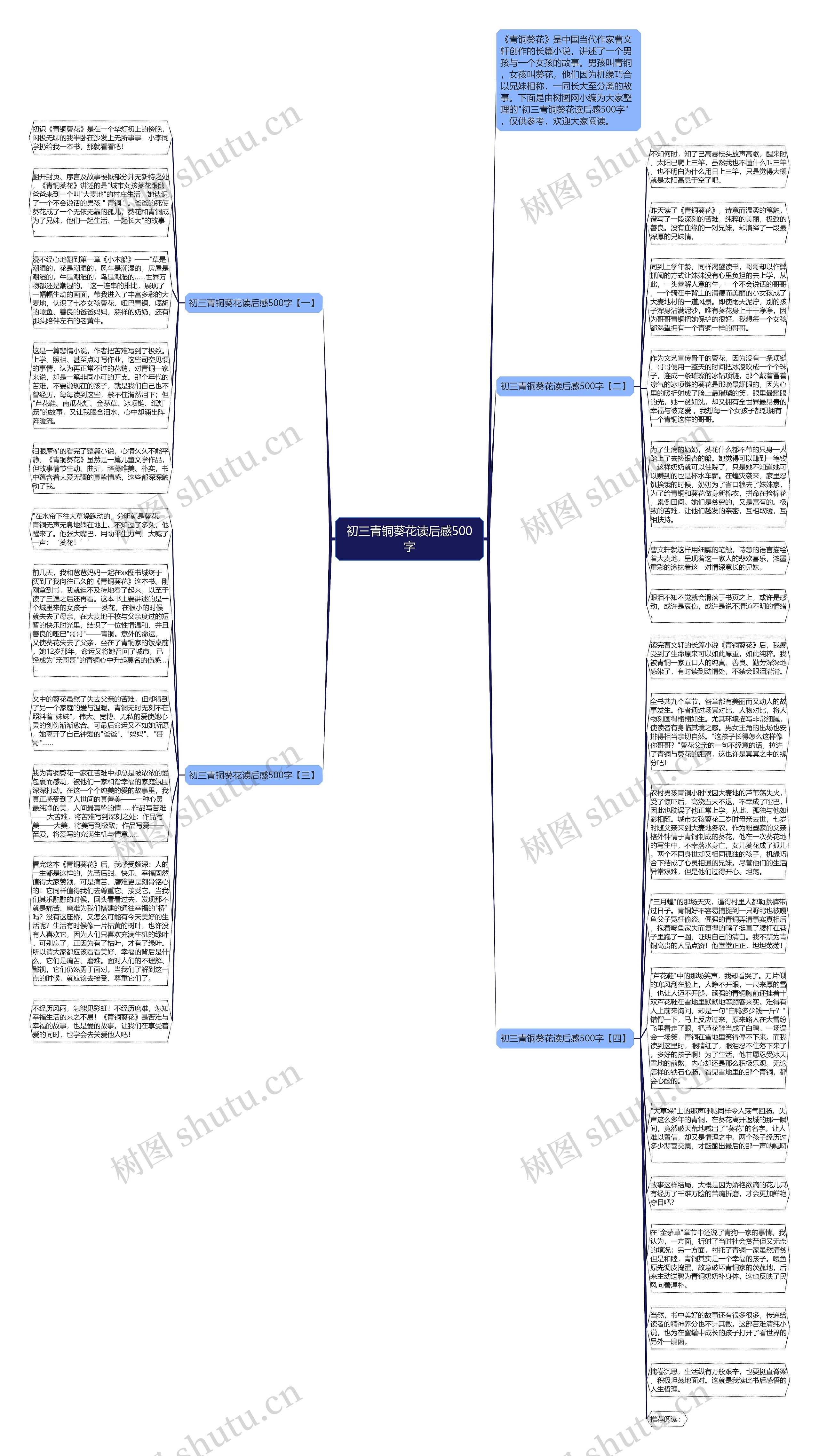 初三青铜葵花读后感500字思维导图