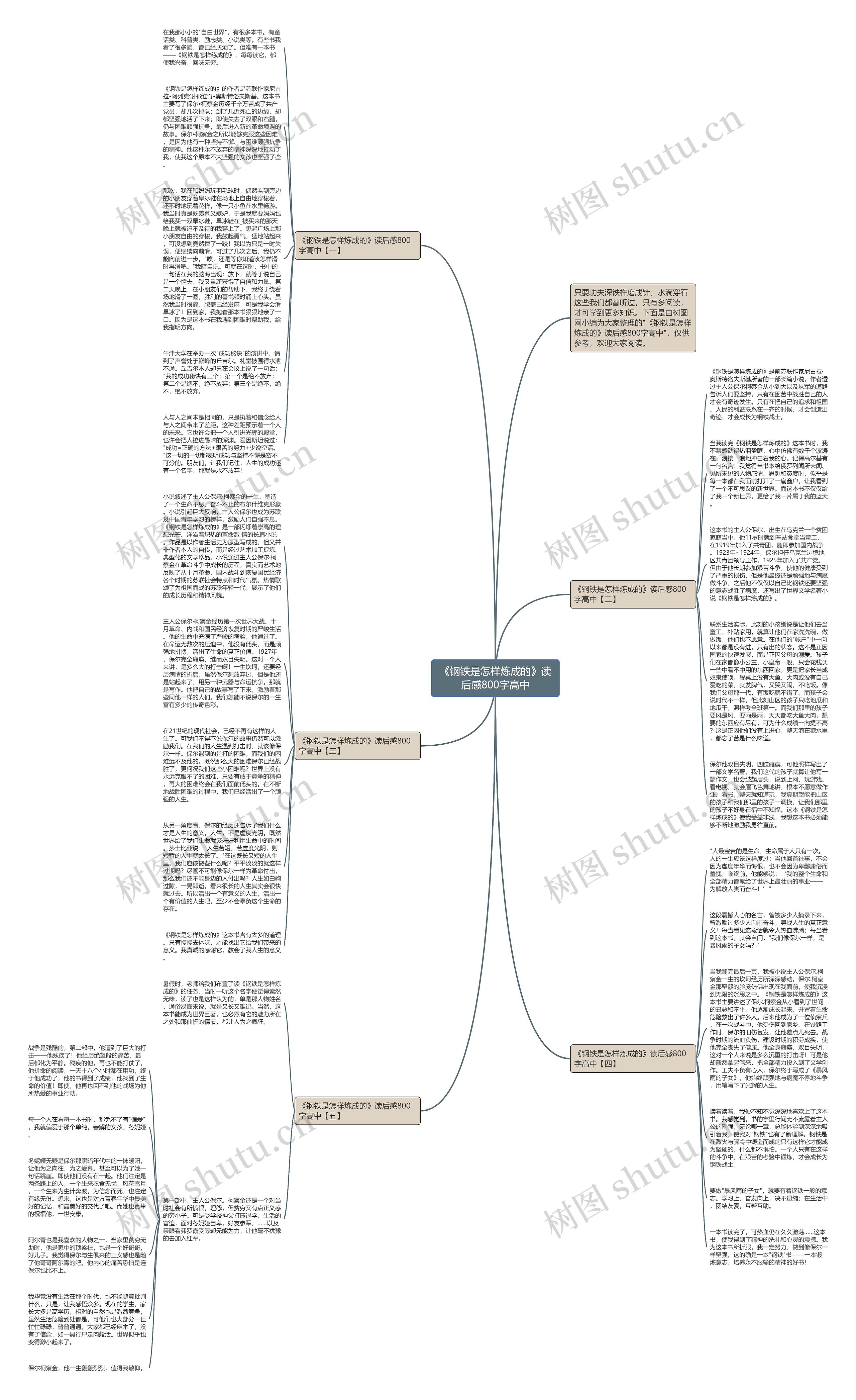 《钢铁是怎样炼成的》读后感800字高中思维导图