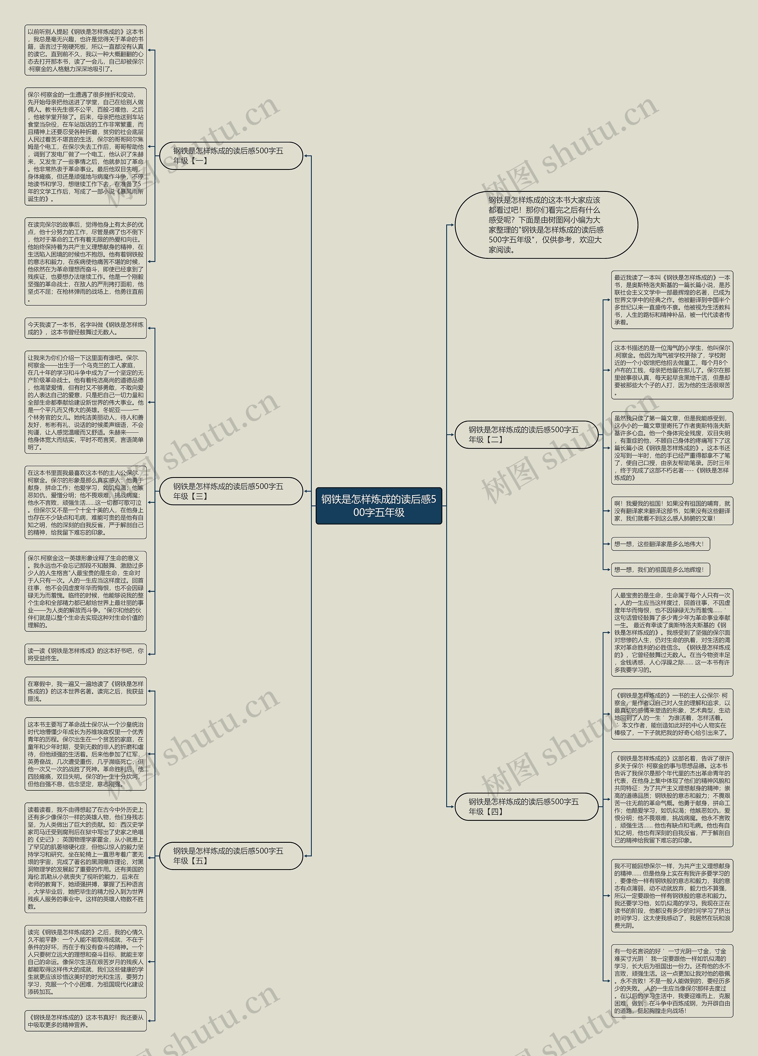 钢铁是怎样炼成的读后感500字五年级思维导图