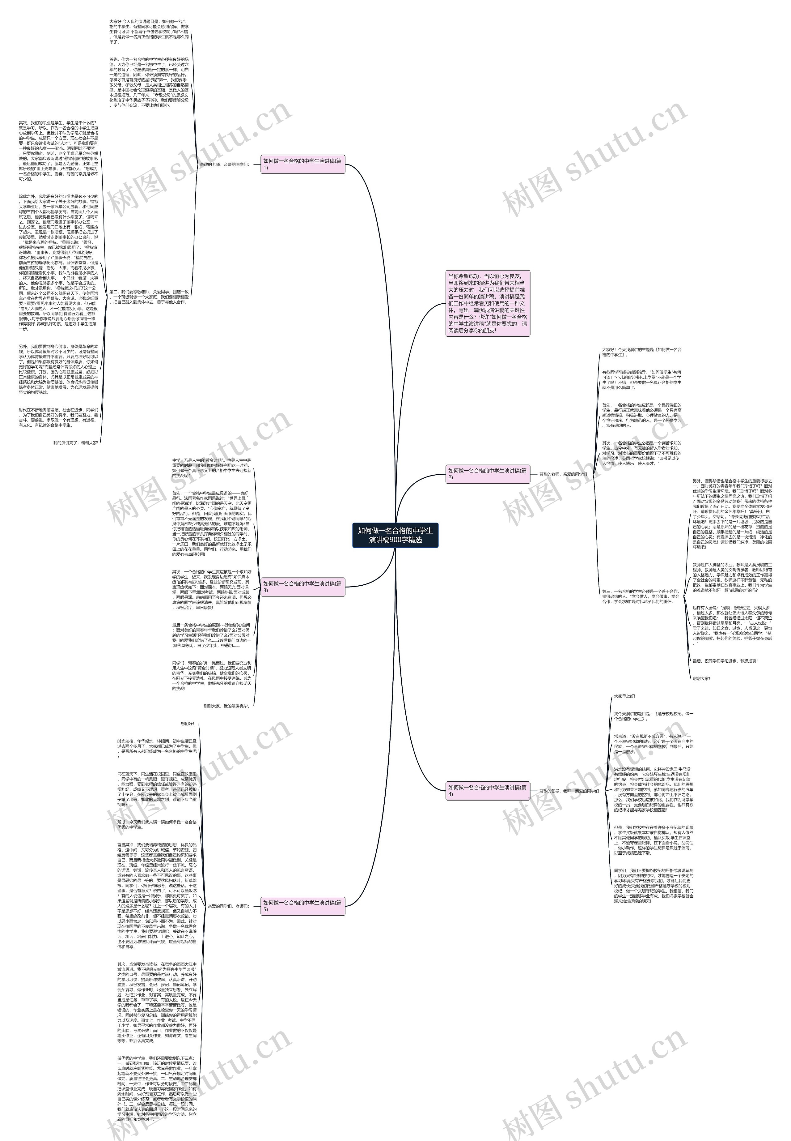 如何做一名合格的中学生演讲稿900字精选思维导图