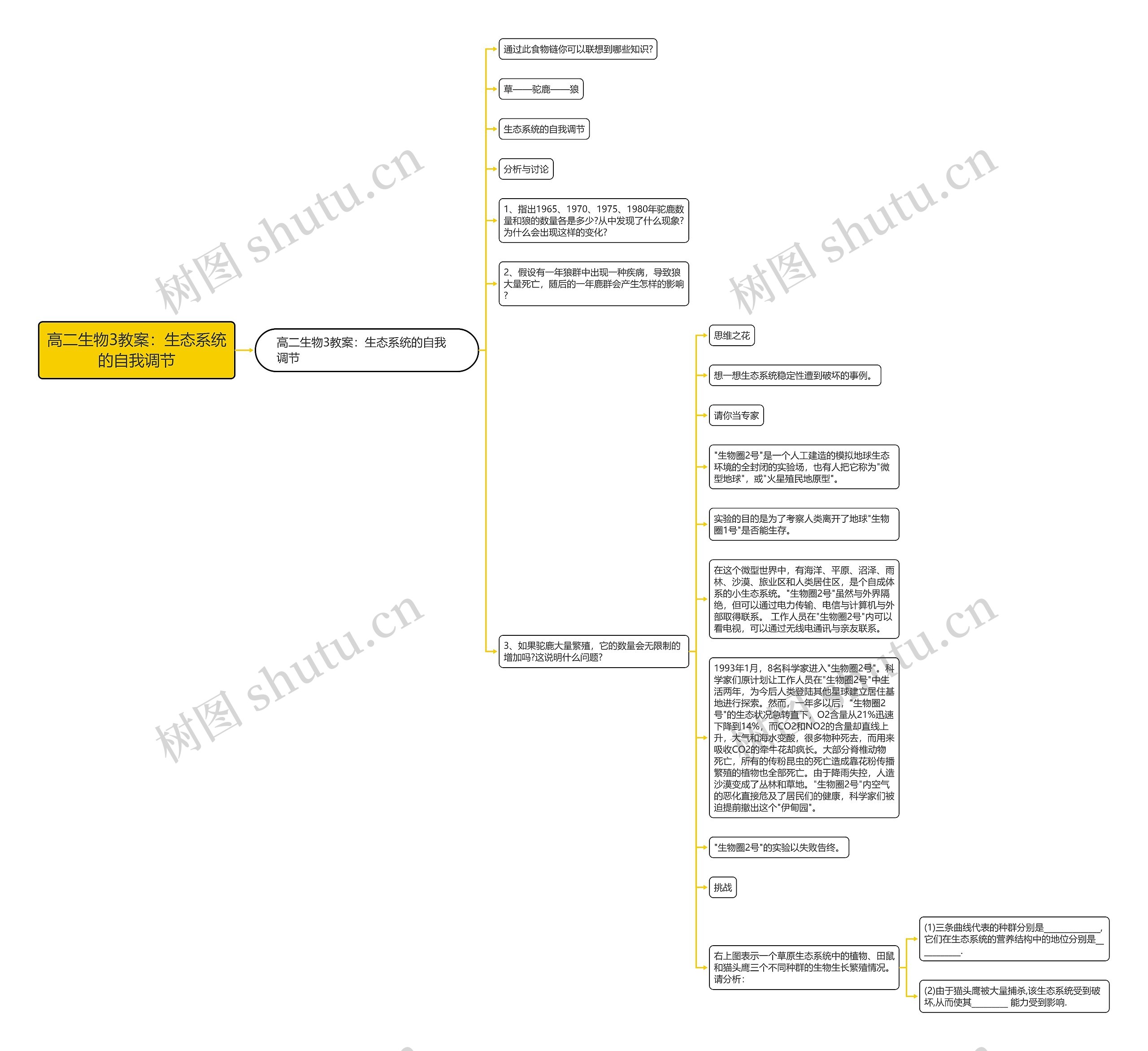 高二生物3教案：生态系统的自我调节思维导图