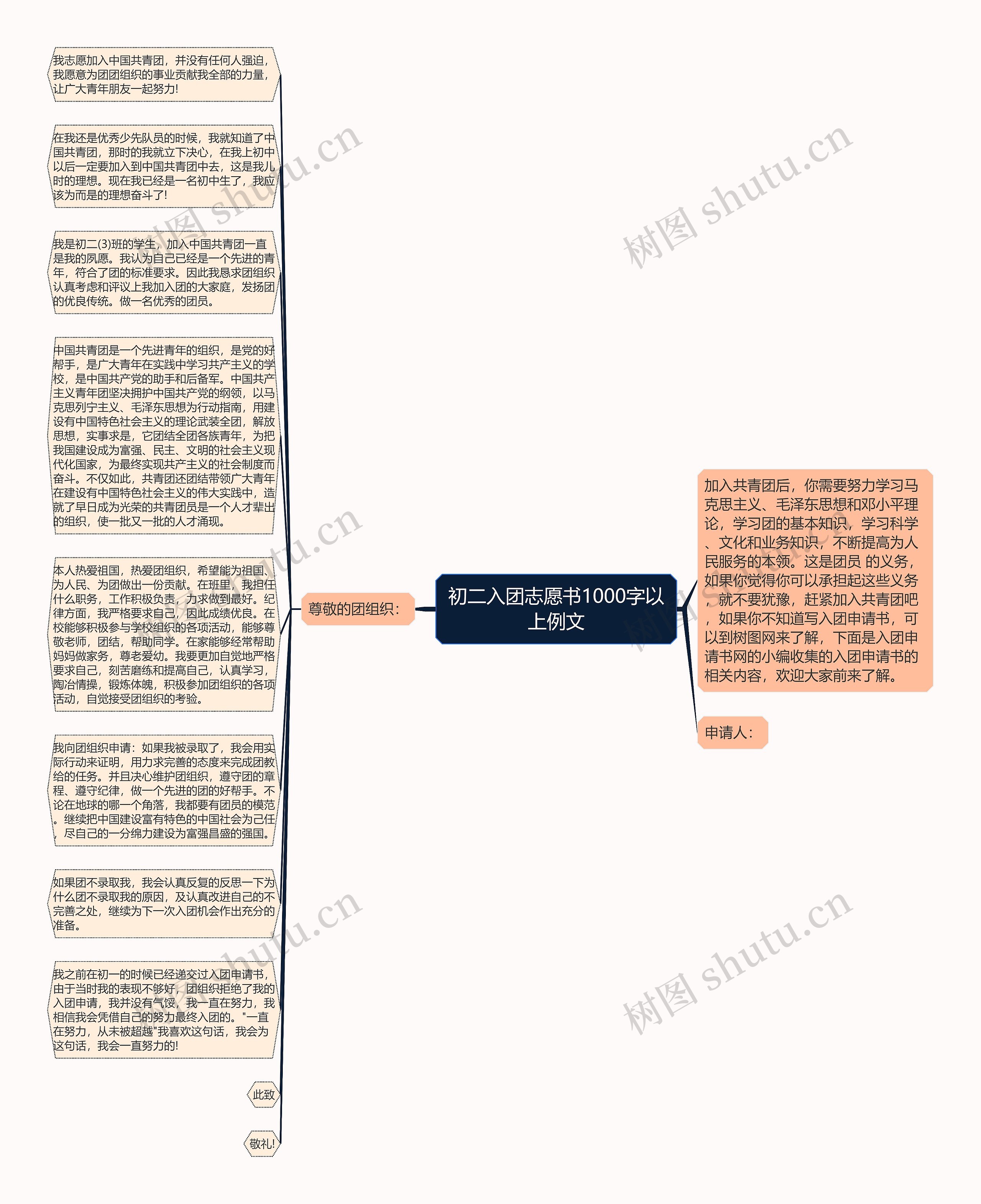 初二入团志愿书1000字以上例文思维导图