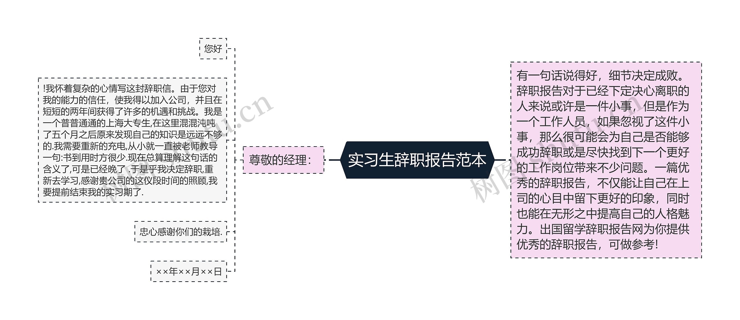 实习生辞职报告范本