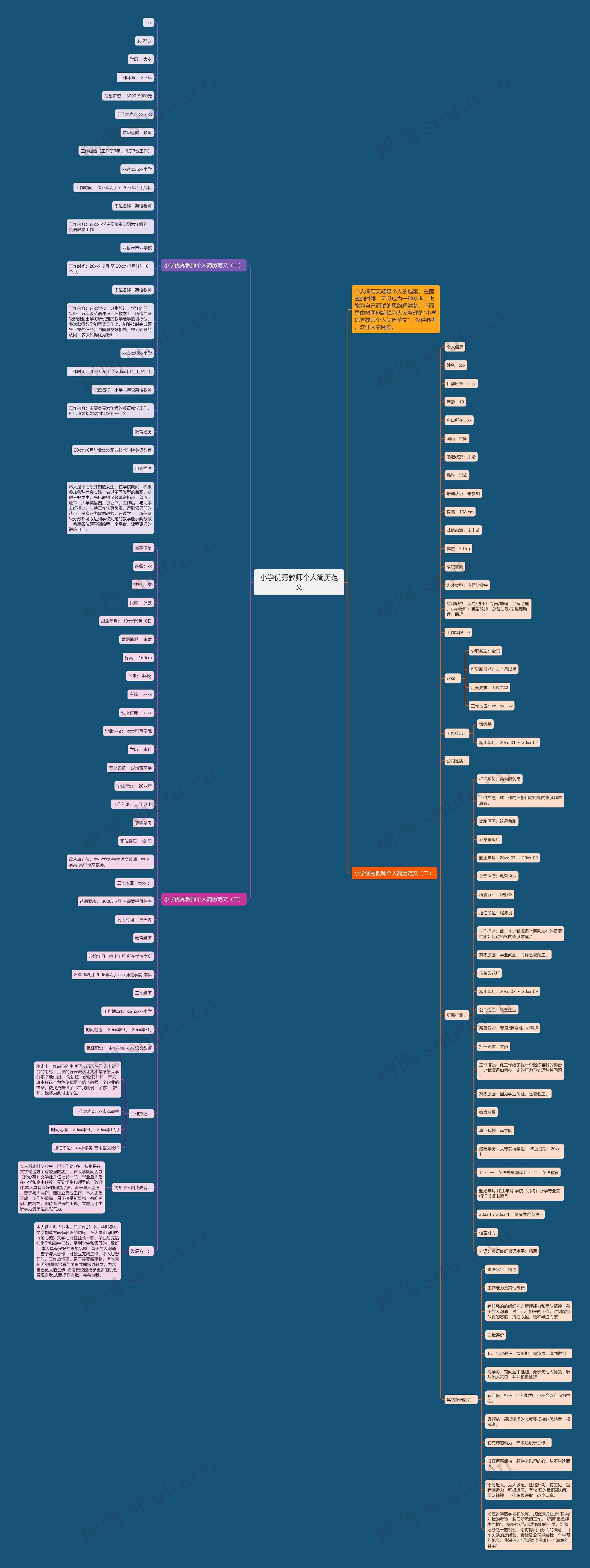 小学优秀教师个人简历范文思维导图