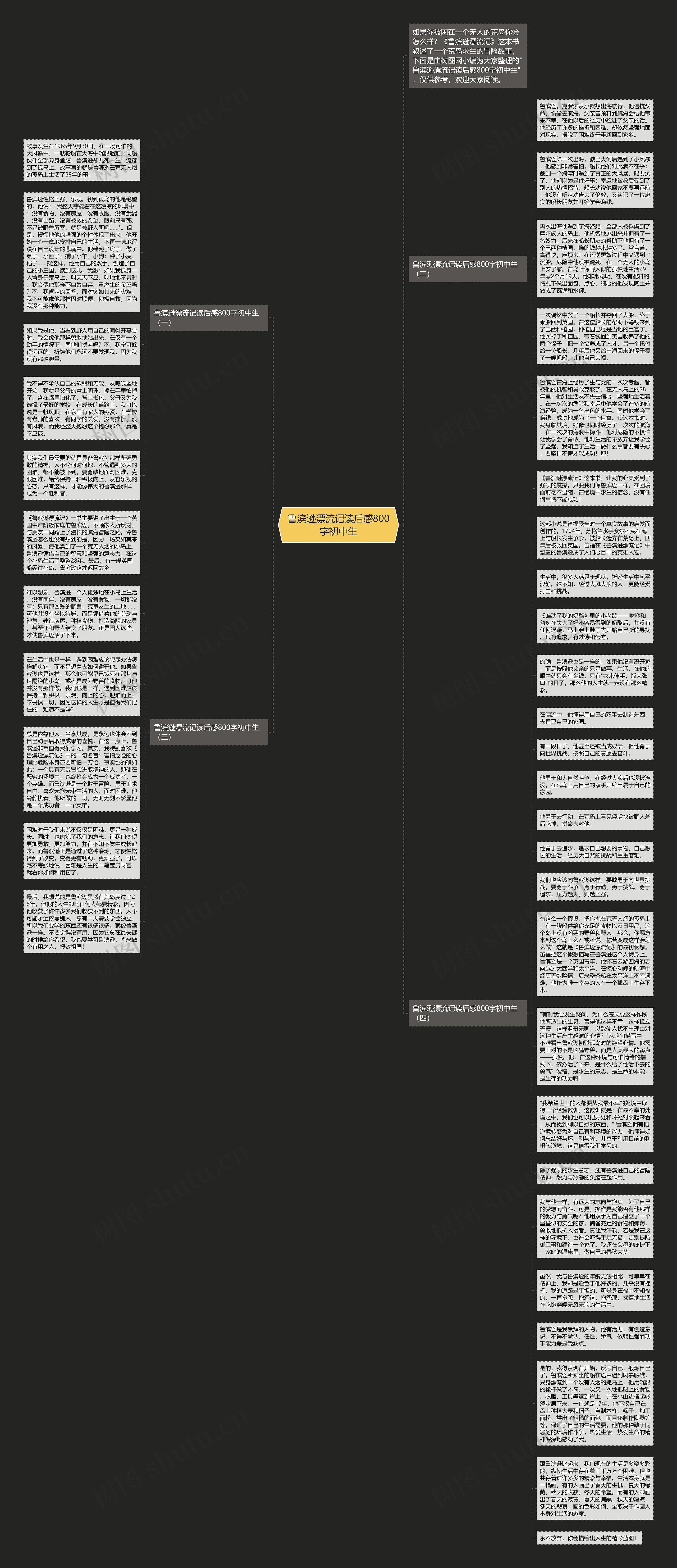 鲁滨逊漂流记读后感800字初中生思维导图