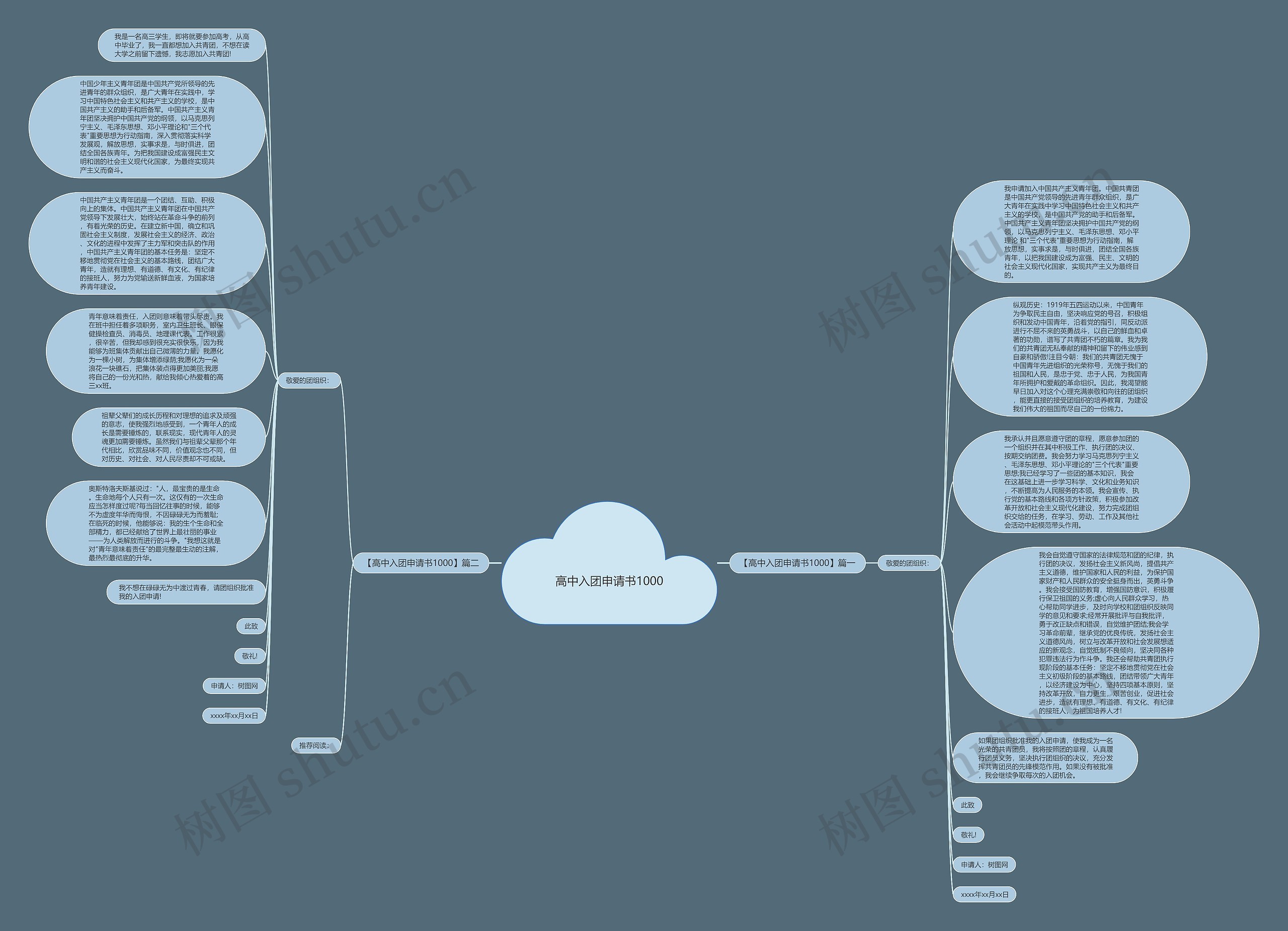 高中入团申请书1000