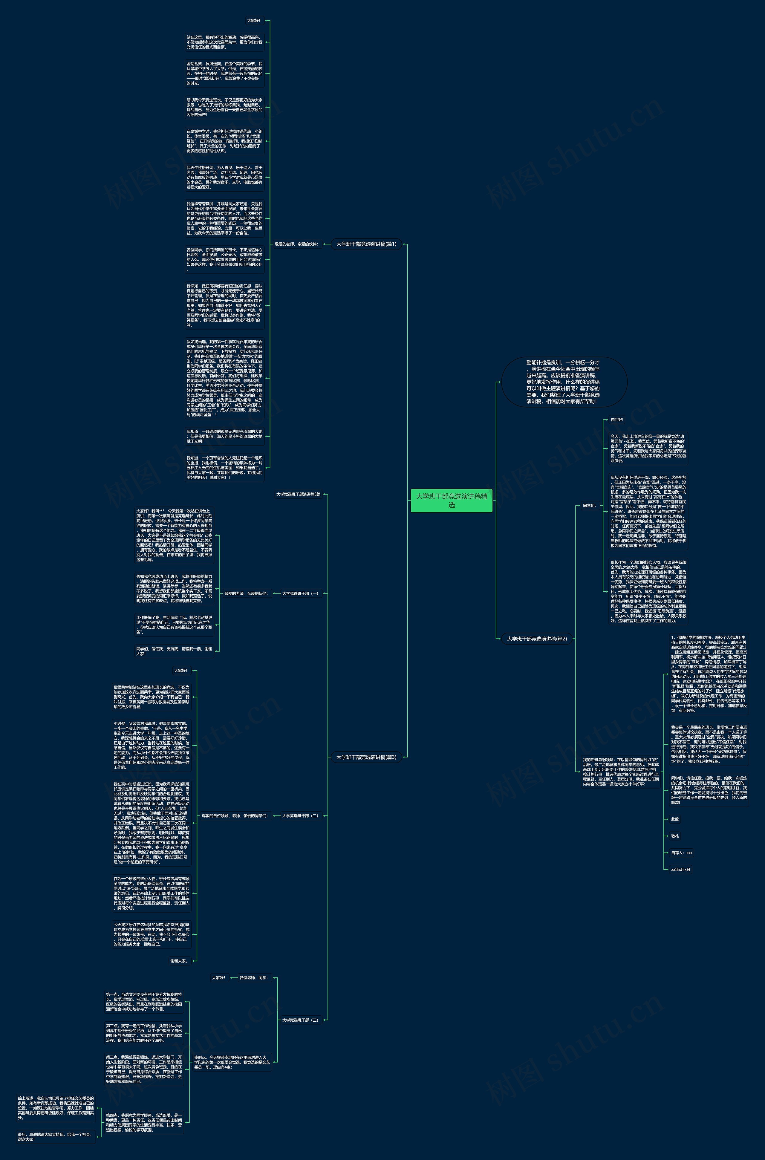 大学班干部竞选演讲稿精选思维导图