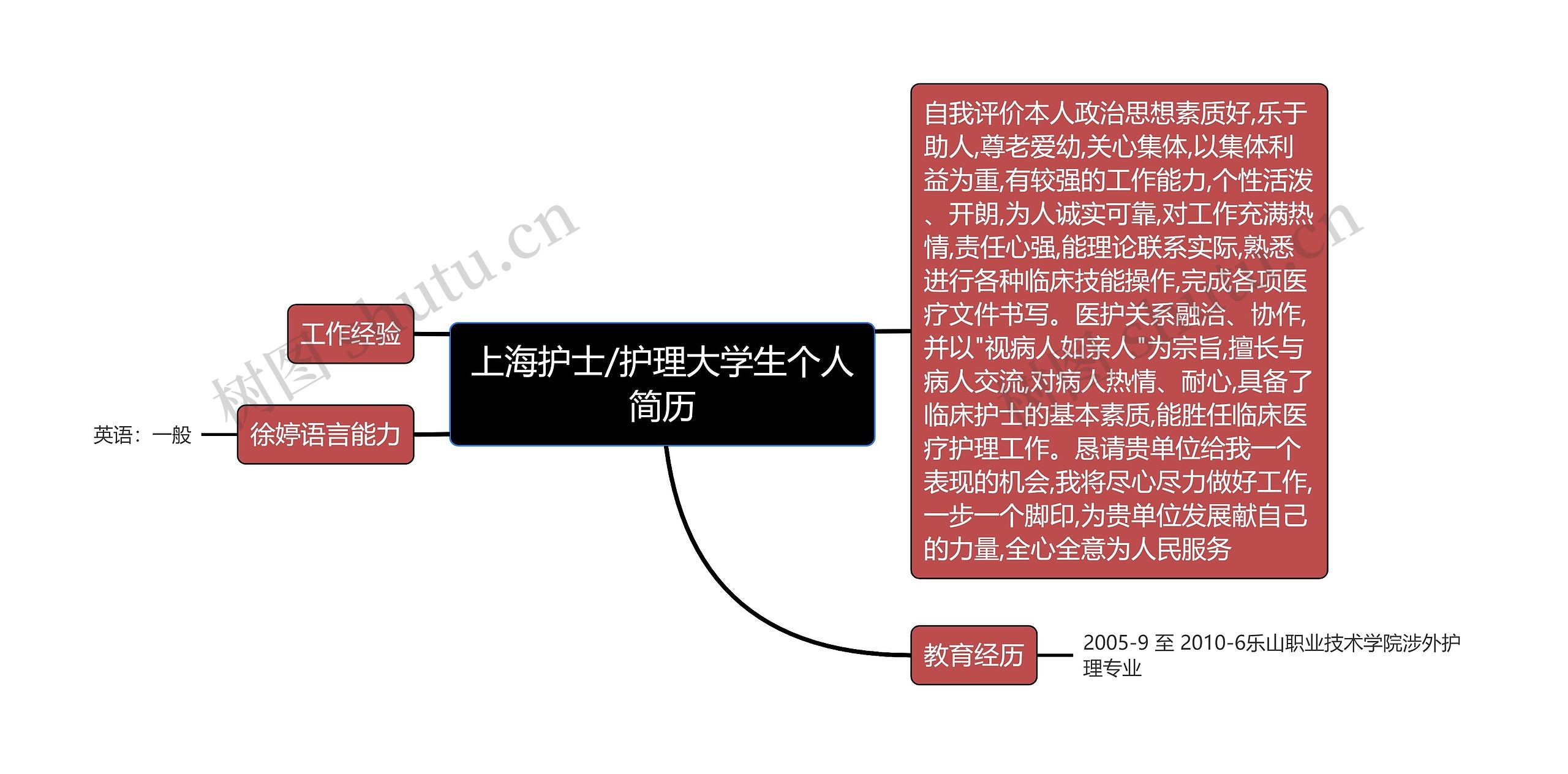 上海护士/护理大学生个人简历