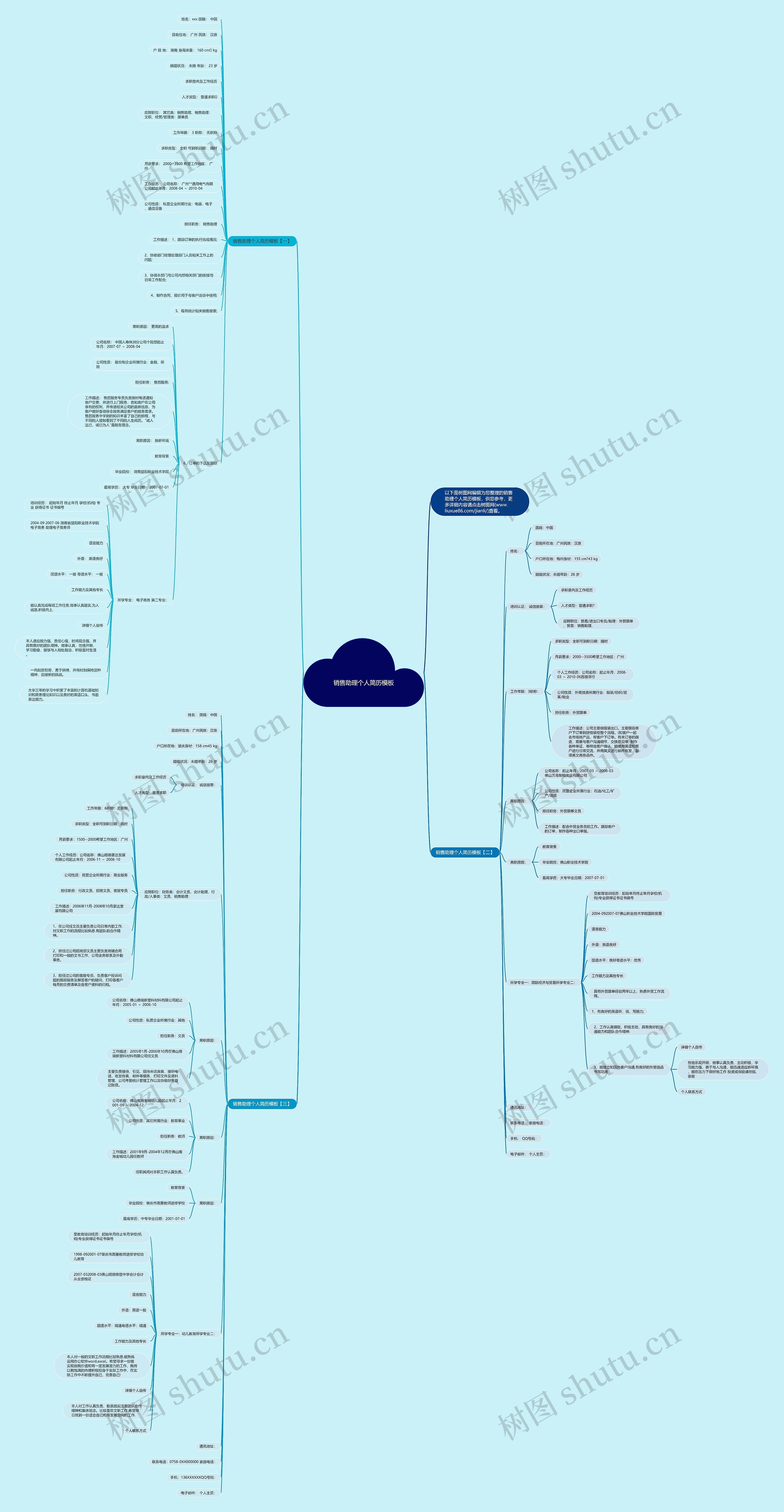 销售助理个人简历思维导图