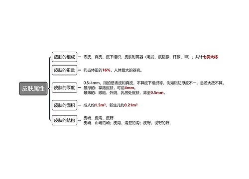 皮肤属性