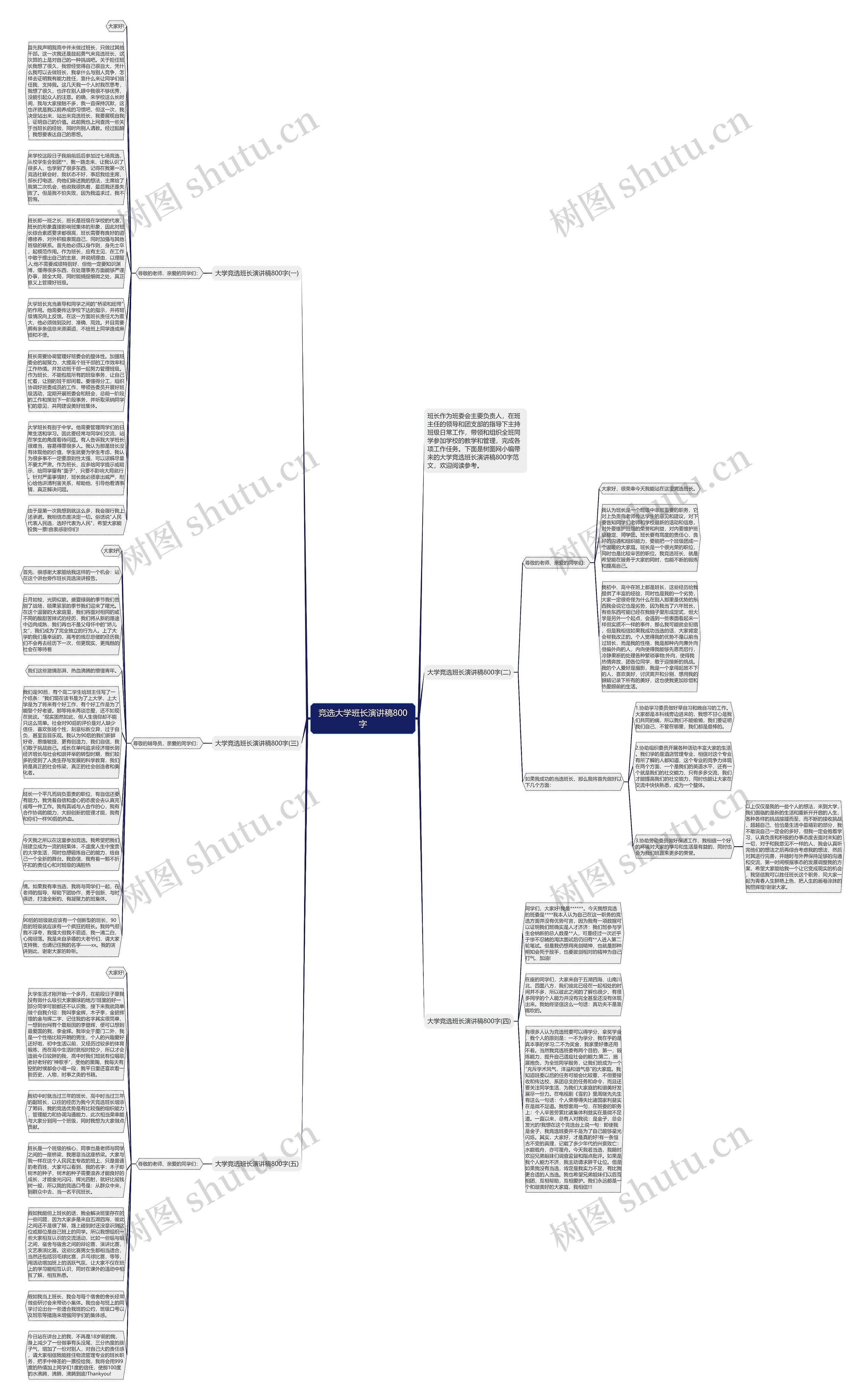竞选大学班长演讲稿800字思维导图