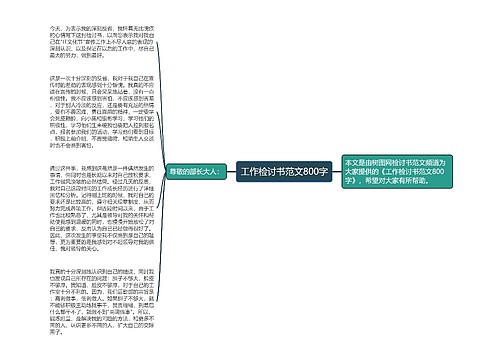 工作检讨书范文800字