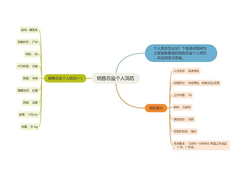 销售总监个人简历