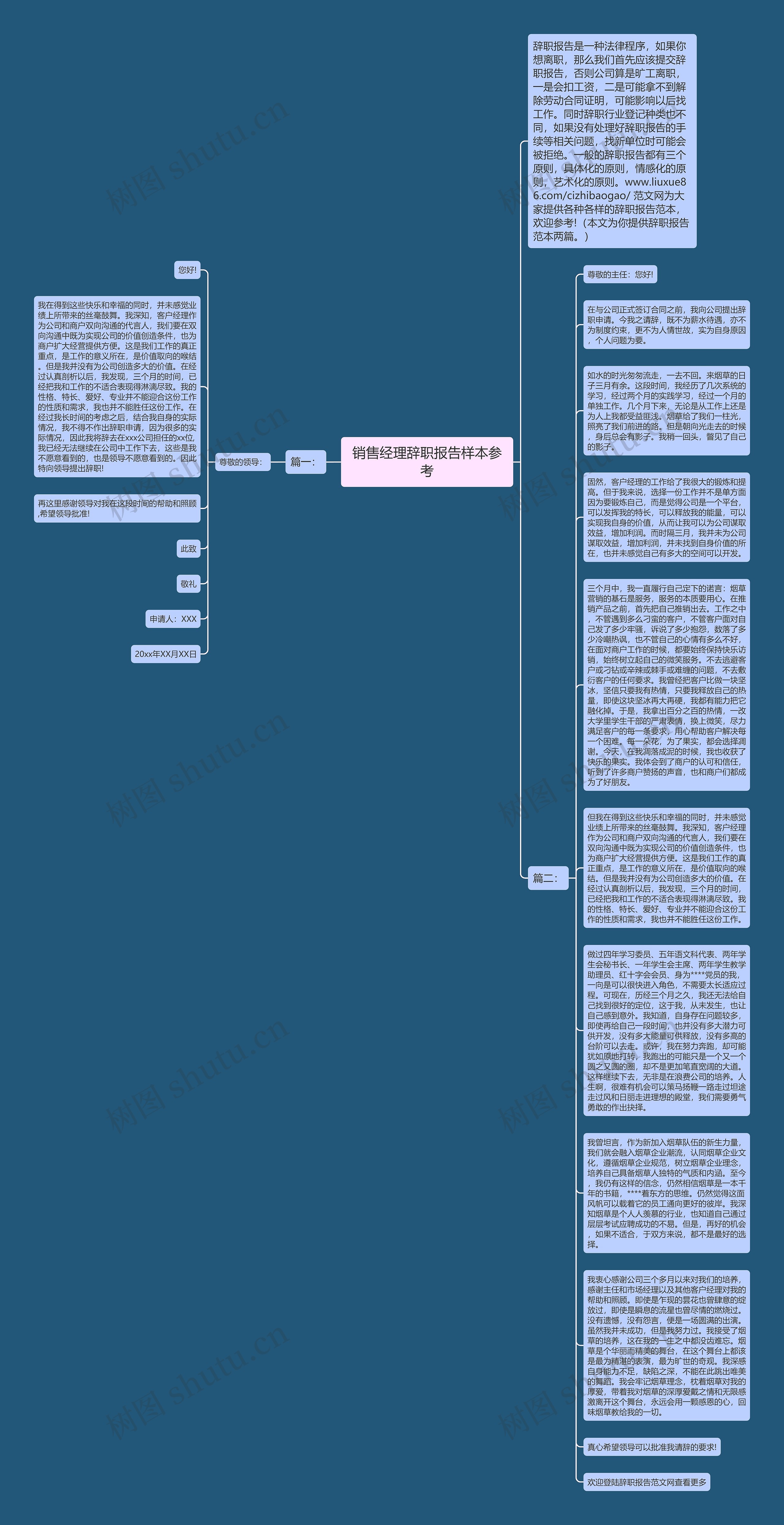 销售经理辞职报告样本参考思维导图