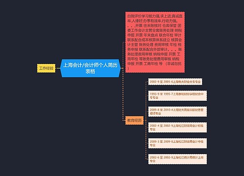 上海会计/会计师个人简历表格