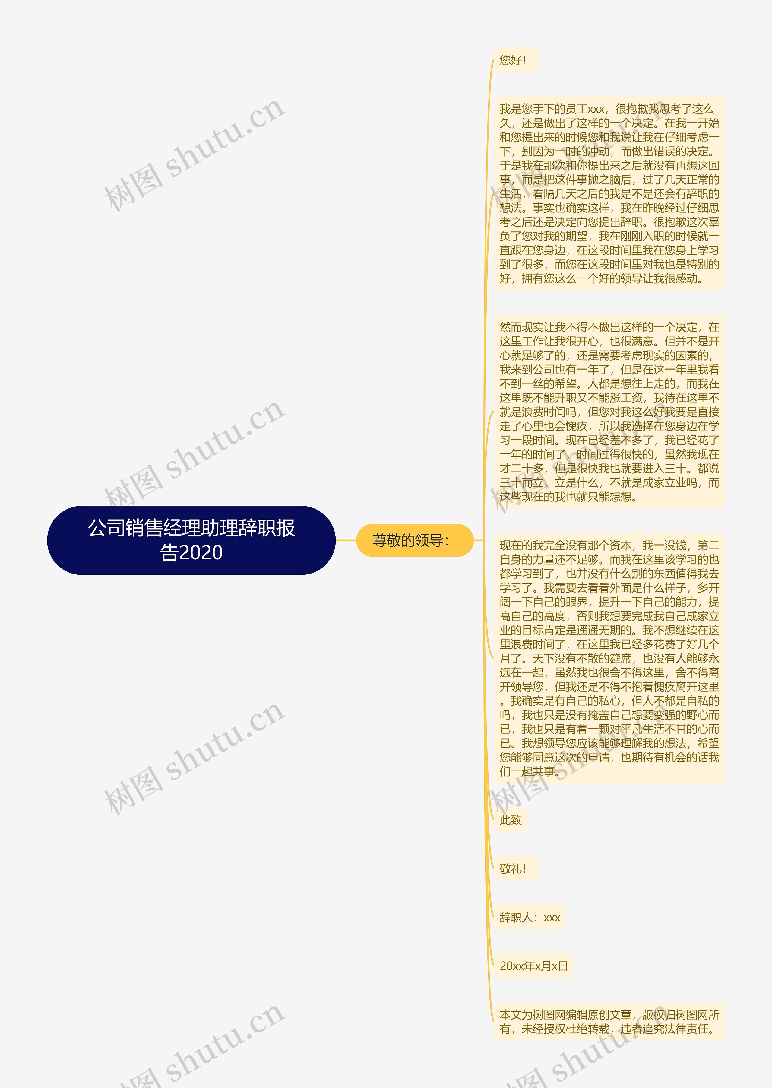 公司销售经理助理辞职报告2020思维导图