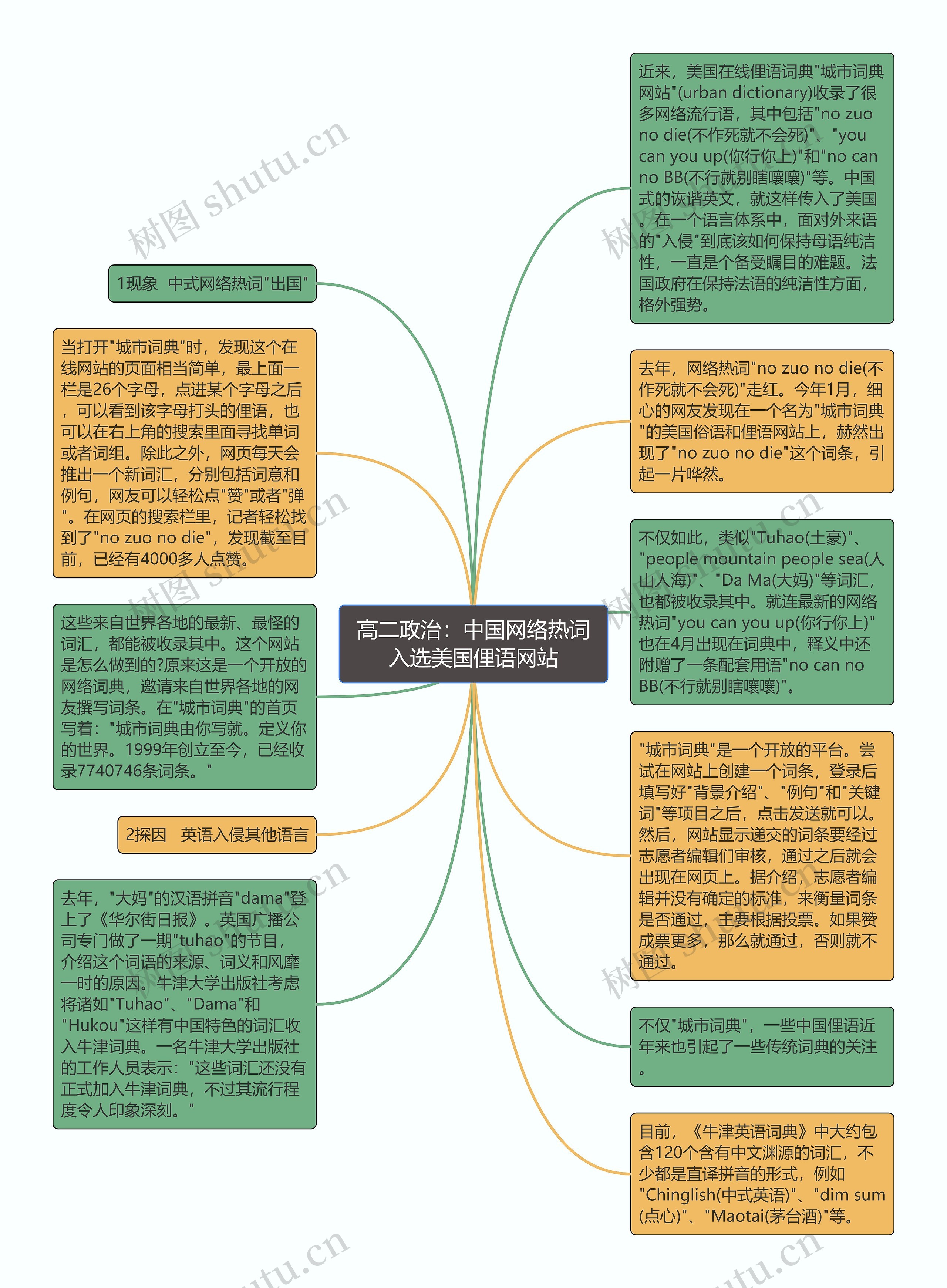 高二政治：中国网络热词入选美国俚语网站思维导图